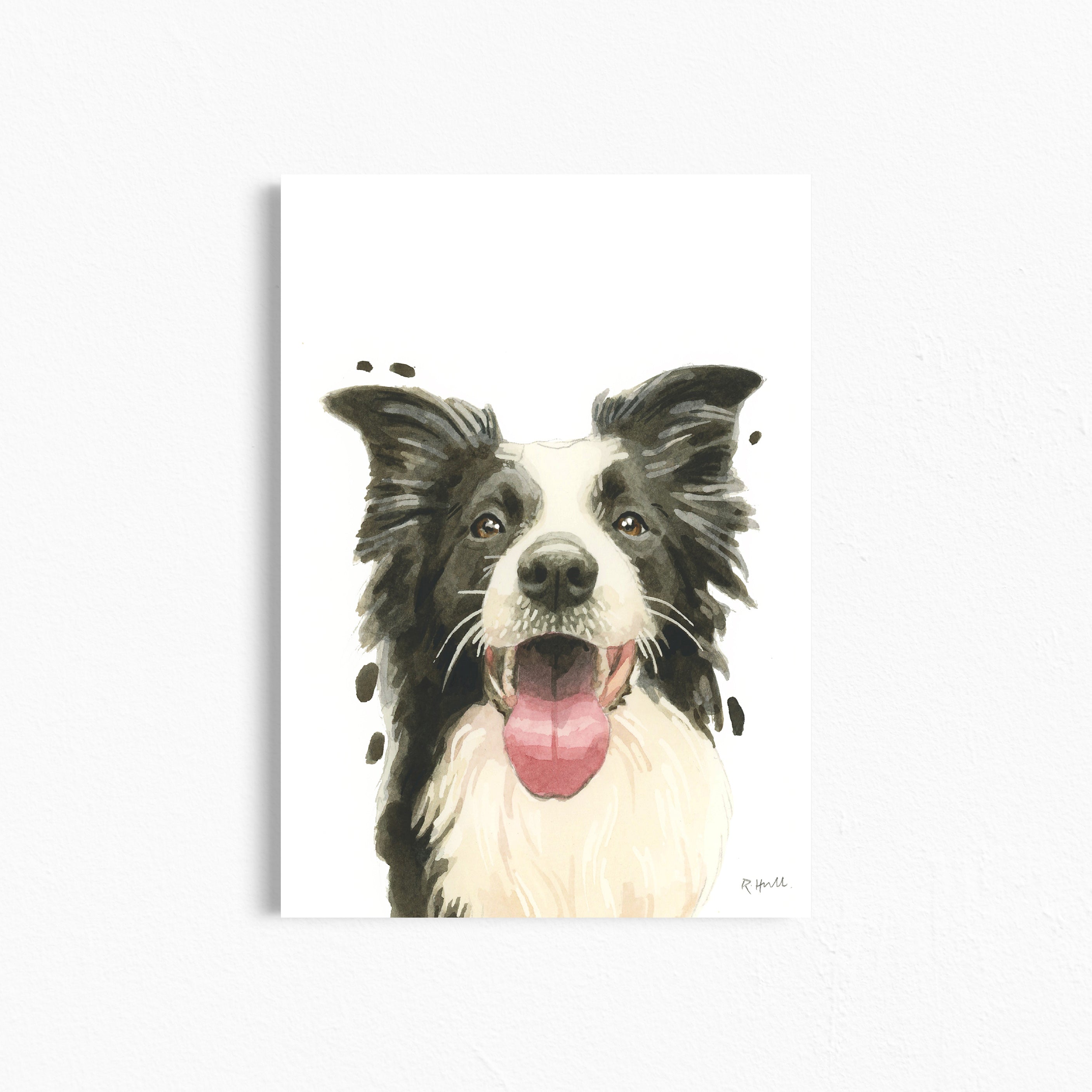 Border Collie A4/Letter Print Gifts for Child's Nursery & Dog Lovers