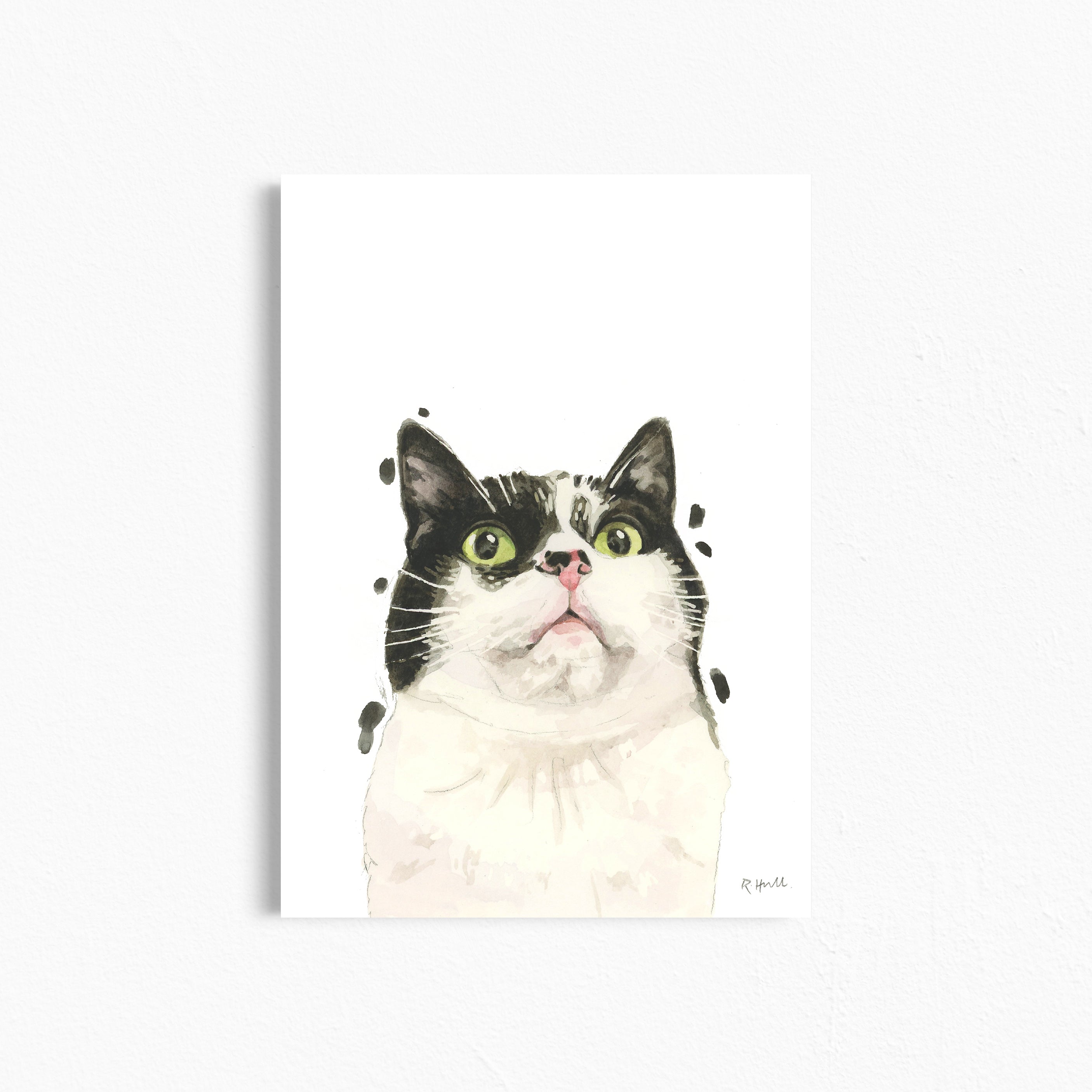 Black and White Cat A4/Letter Print Gifts for Child's Nursery & Cat Lovers
