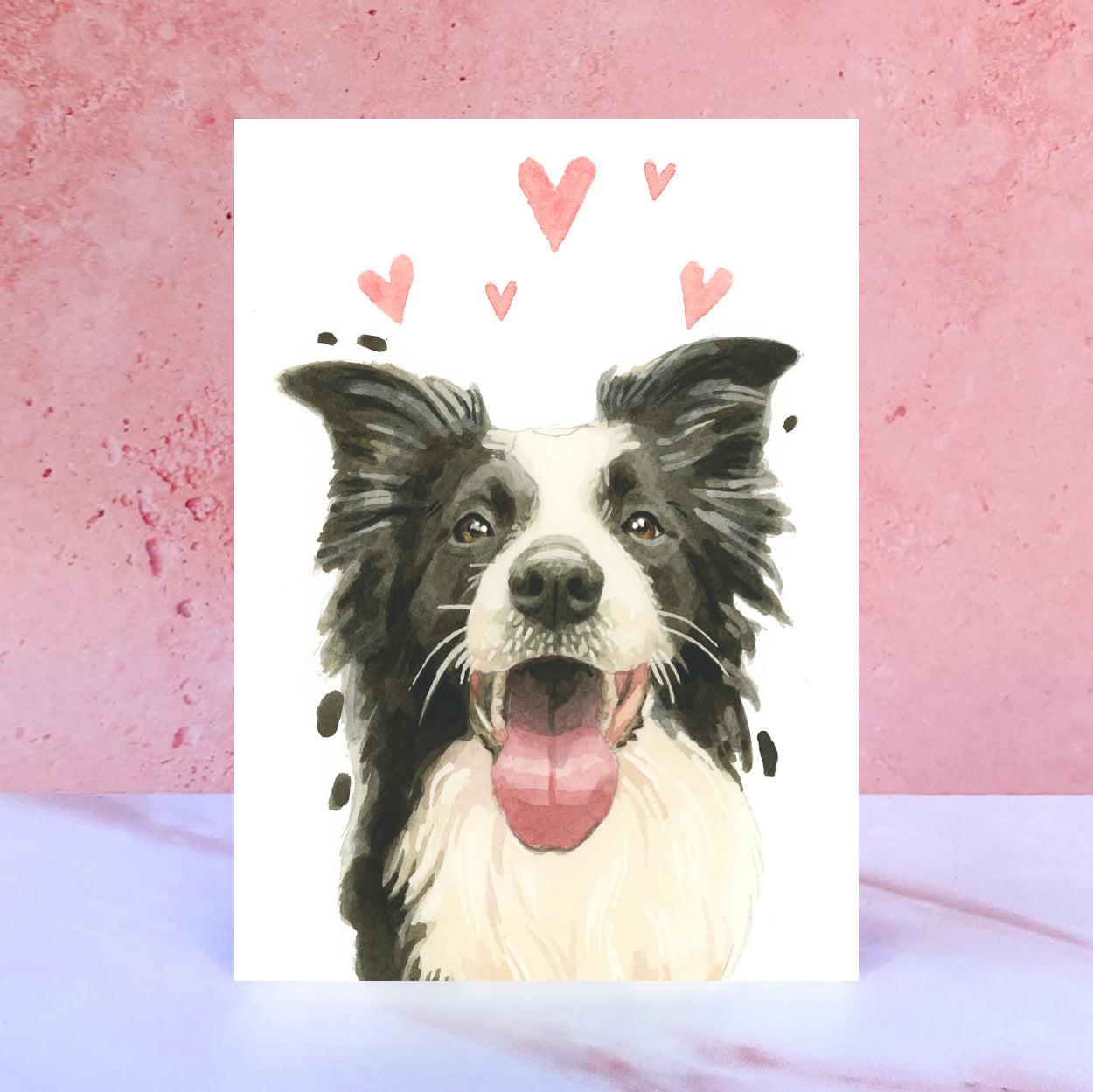 Border Collie Licks & Kisses Card for Valentines, Anniversaries and from the Dog