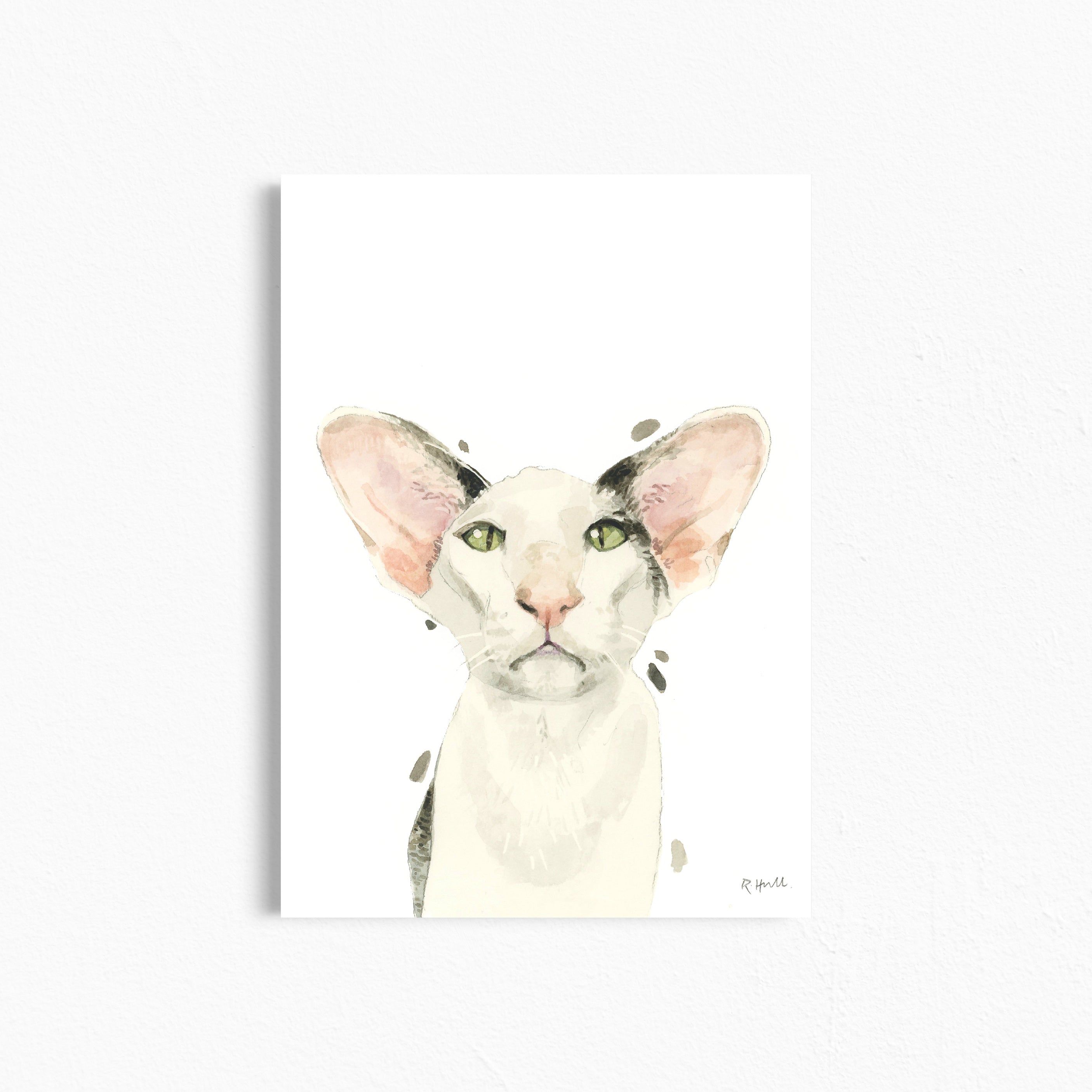 Oriental Shorthair Cat A4/Letter Print Gifts for Child's Nursery & Cat Lovers
