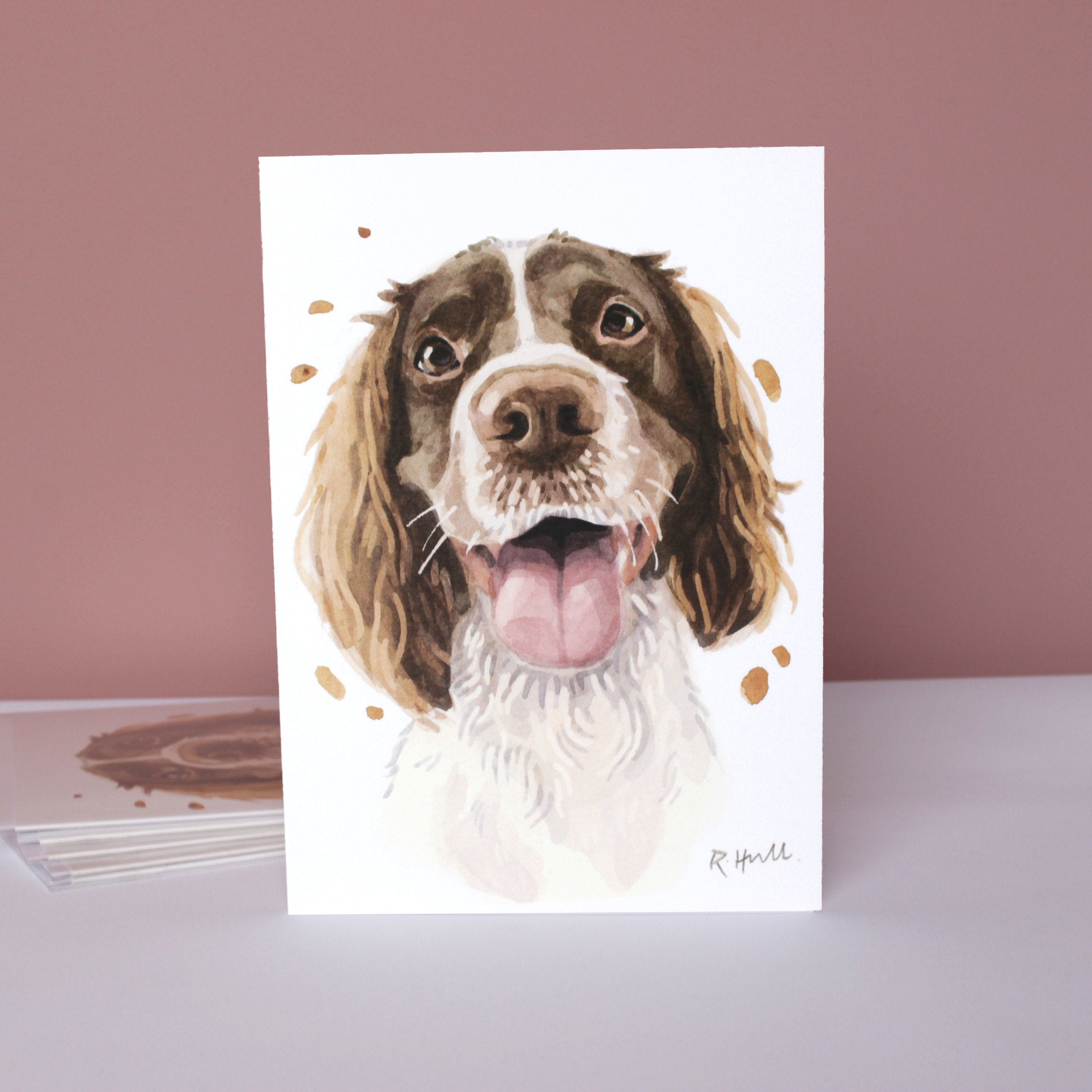 Pack of 5 Springer Spaniel All Occasion Cards, Funny Spaniel Birthday Greeting Card