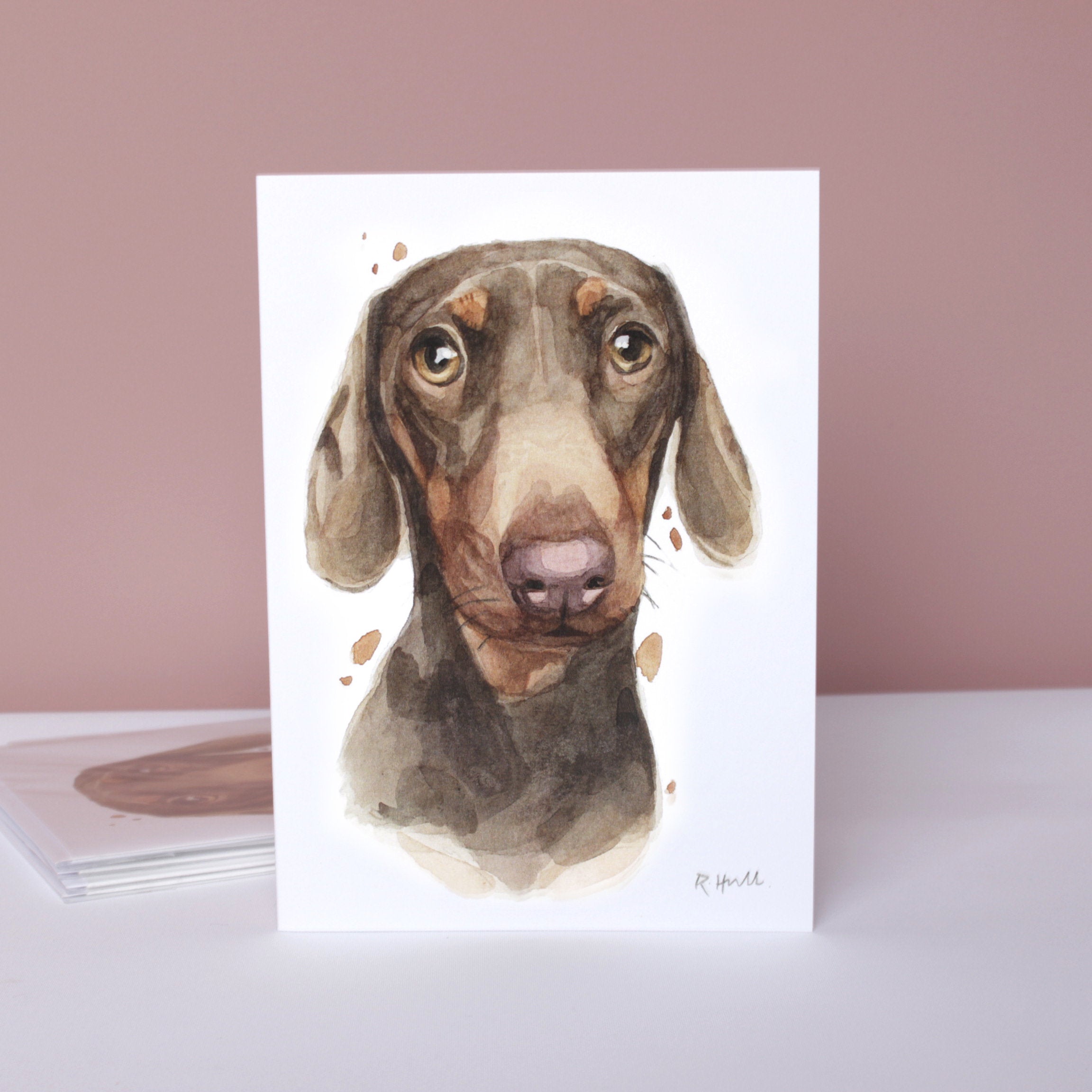Pack of 5 Dachshund All Occasion Cards, Cute Sausage Dog Doxie Greeting Card