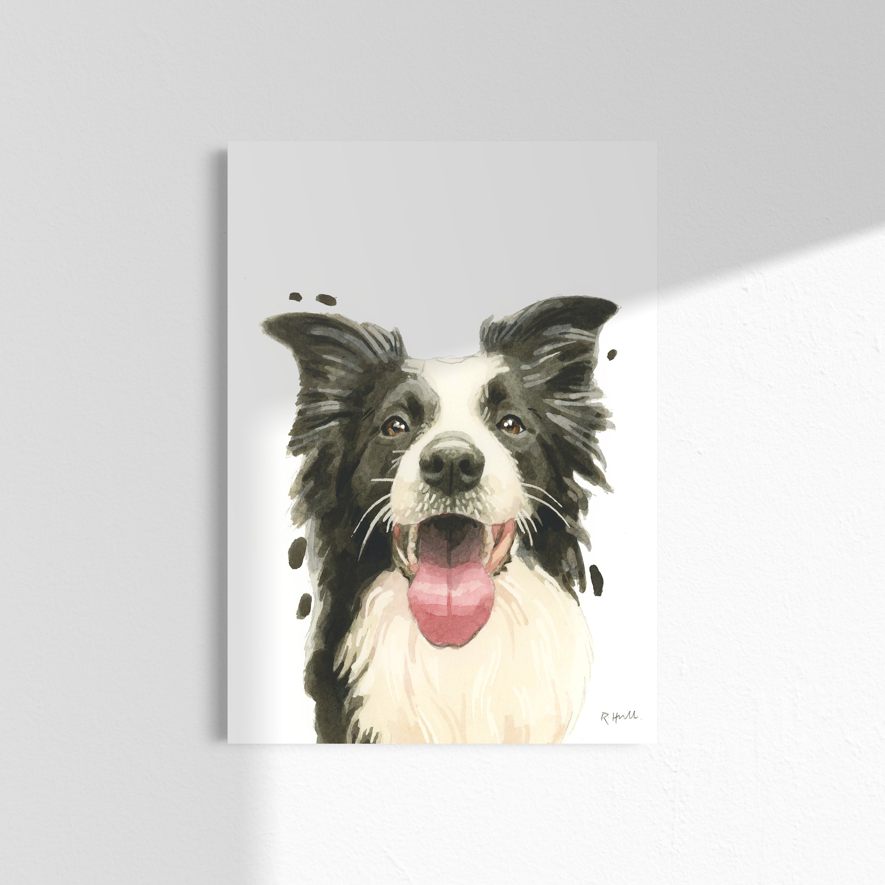 Border Collie A4/Letter Print Gifts for Child's Nursery & Dog Lovers