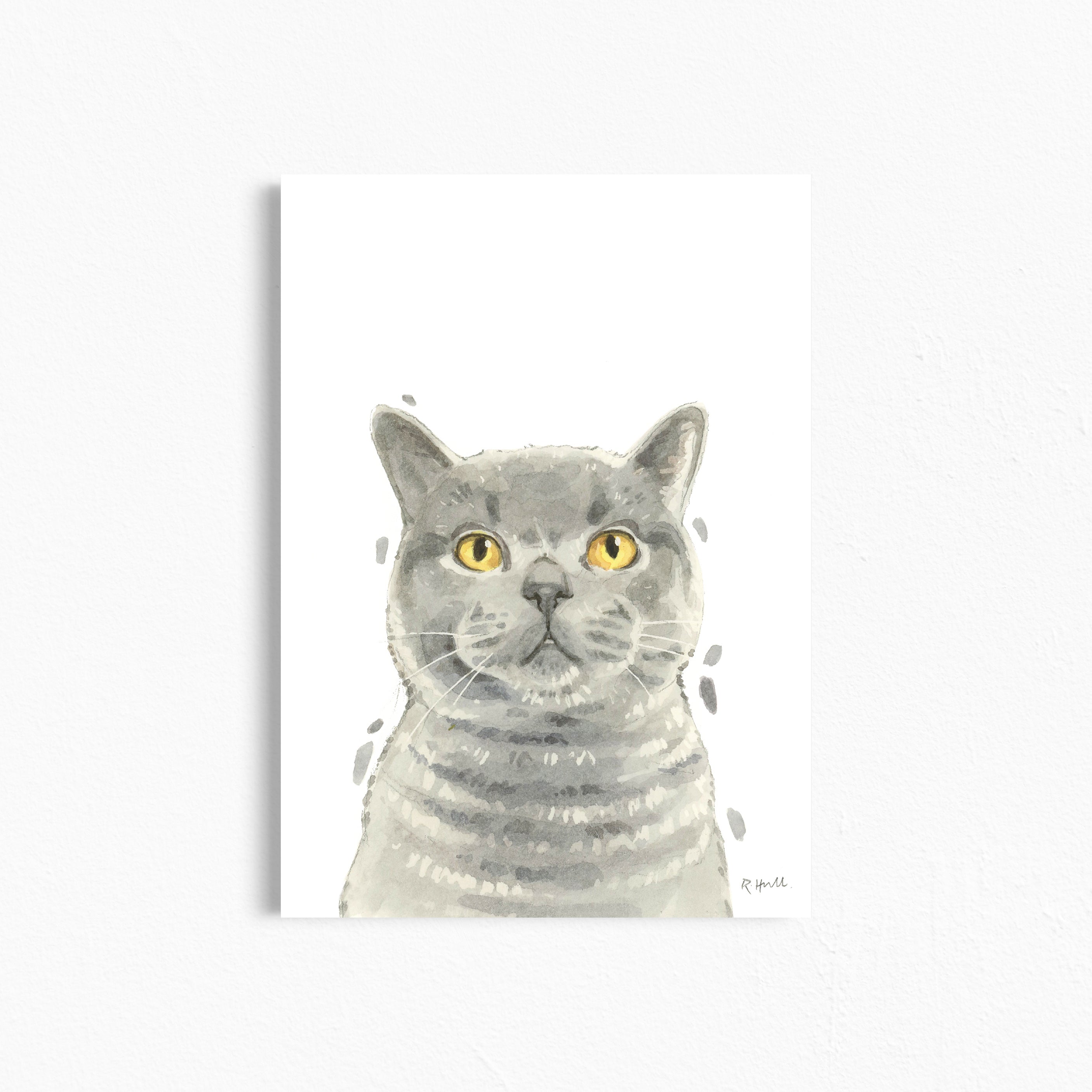 British Shorthair Cat A4/Letter Print Gifts for Child's Nursery & English Blue Cat Lovers