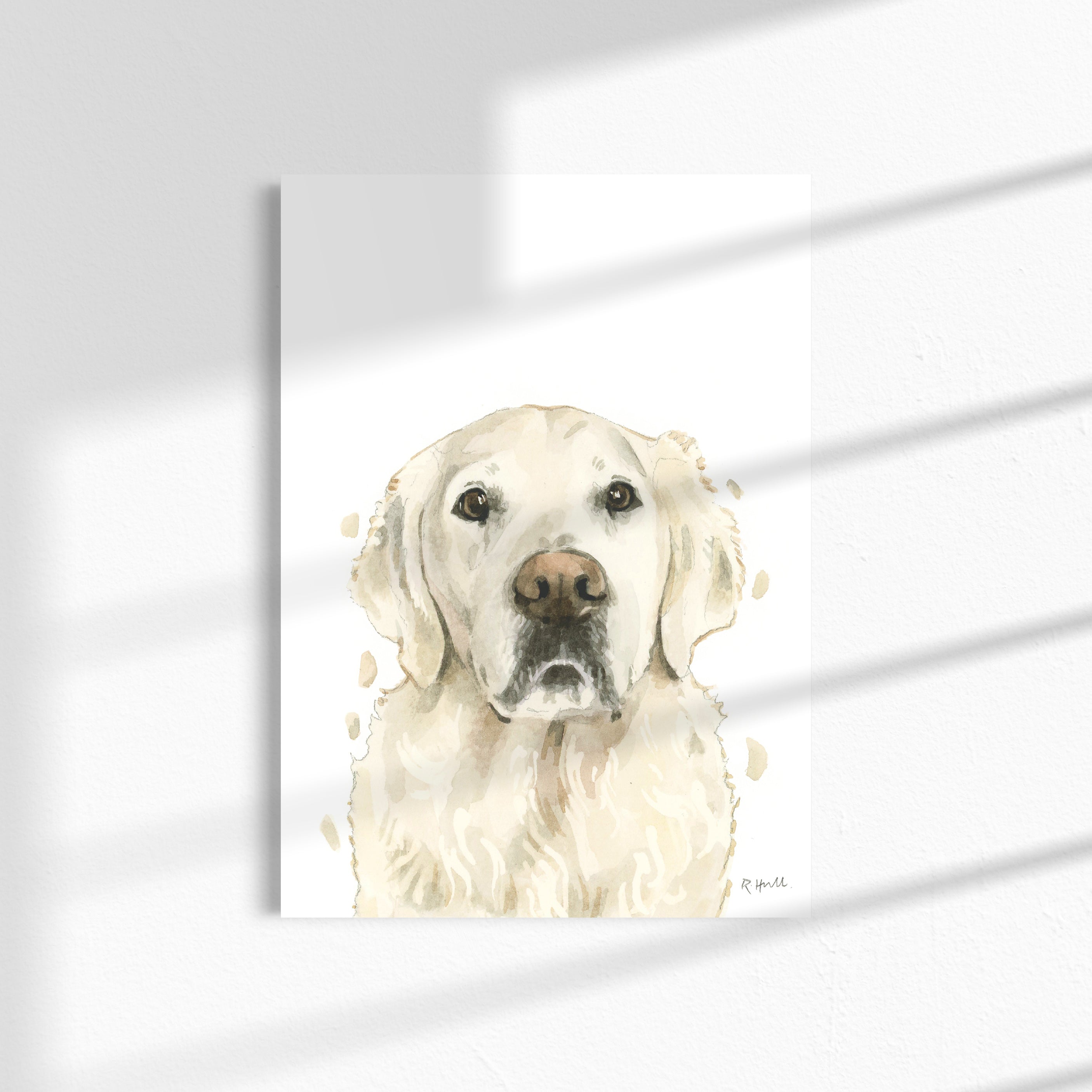 English Cream Golden Retriever A4/Letter Print Gifts for Child's Nursery & Dog Lovers