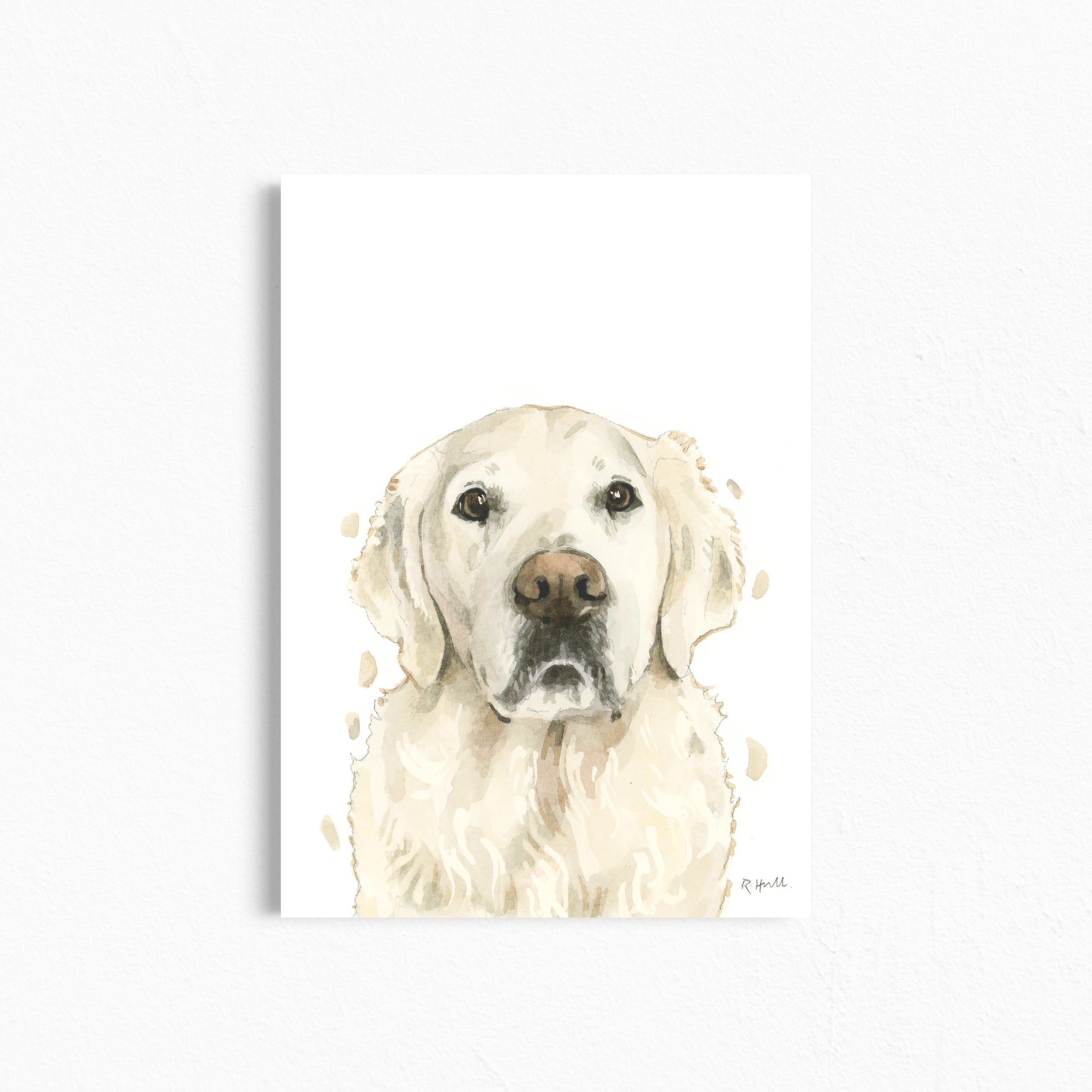 English Cream Golden Retriever A4/Letter Print Gifts for Child's Nursery & Dog Lovers