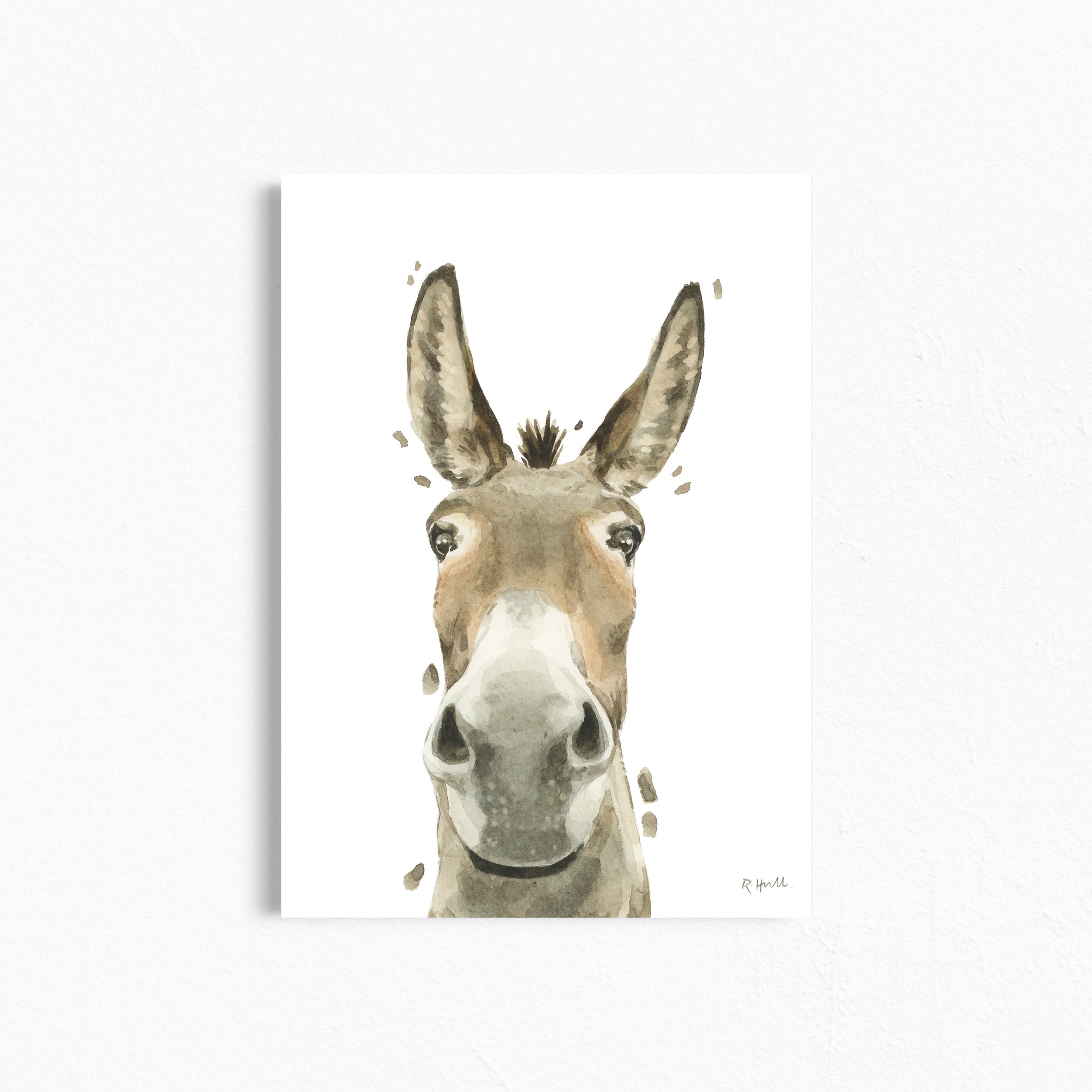 Donkey A4/Letter Watercolour Print