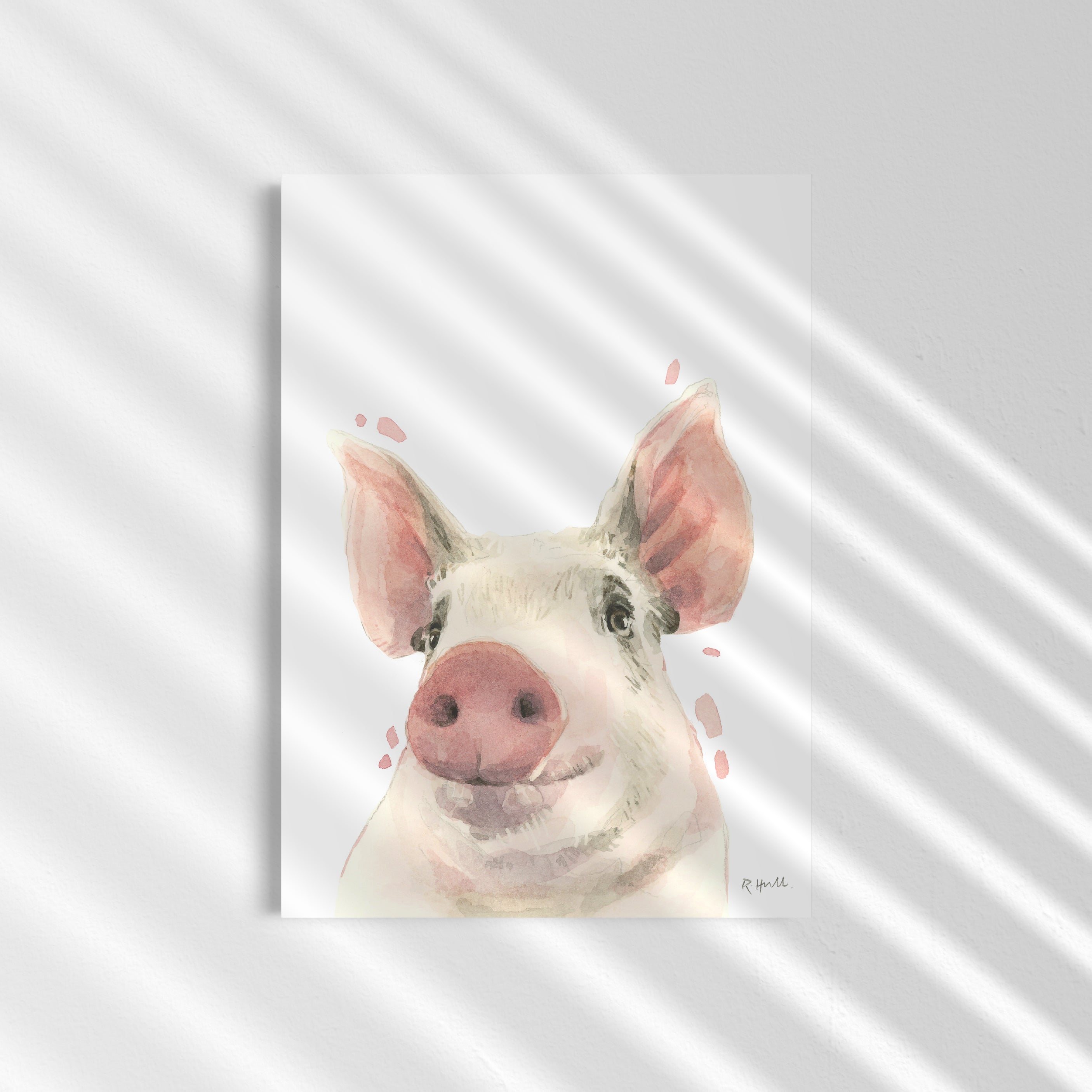 Pig A4/Letter Watercolour Print