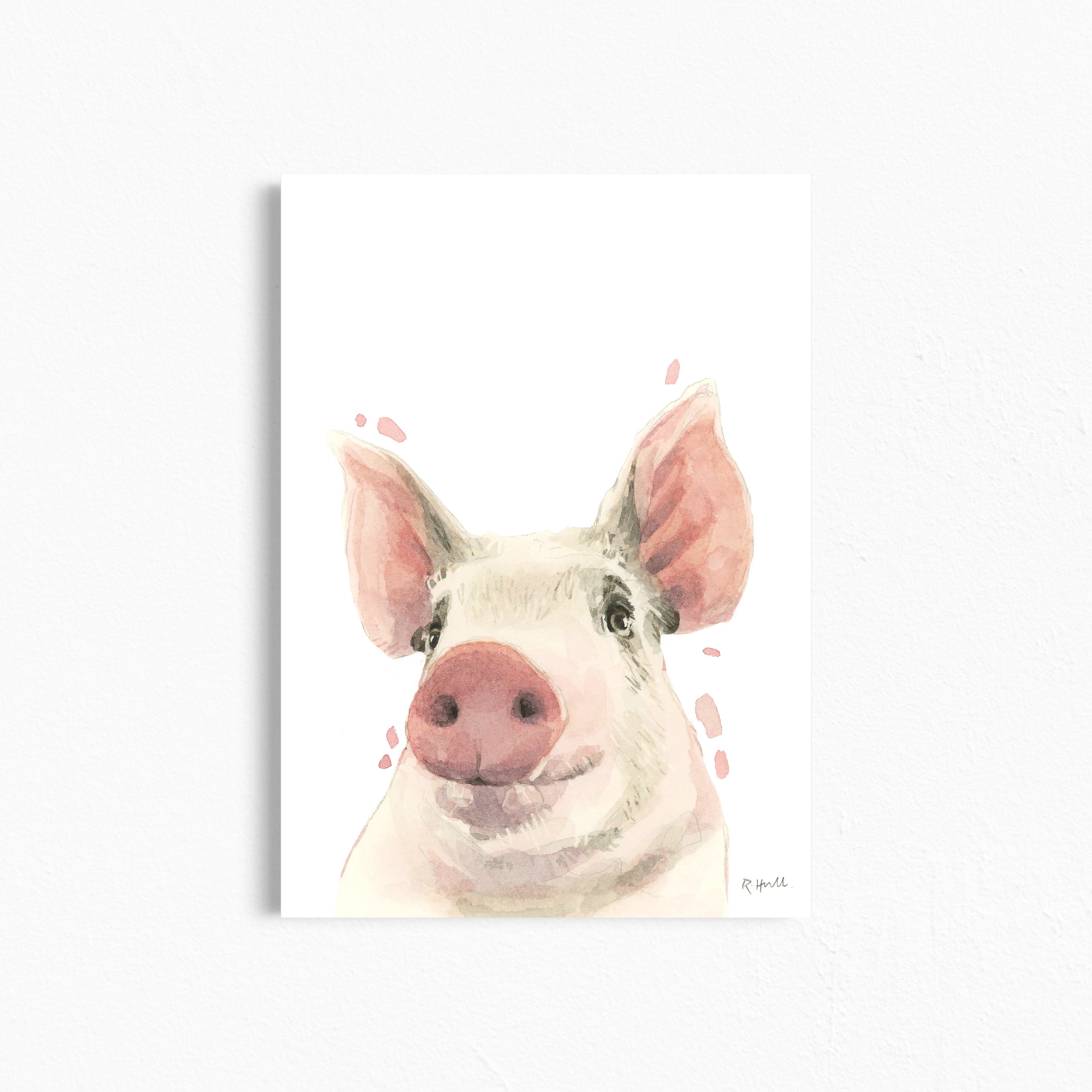 Pig A4/Letter Watercolour Print