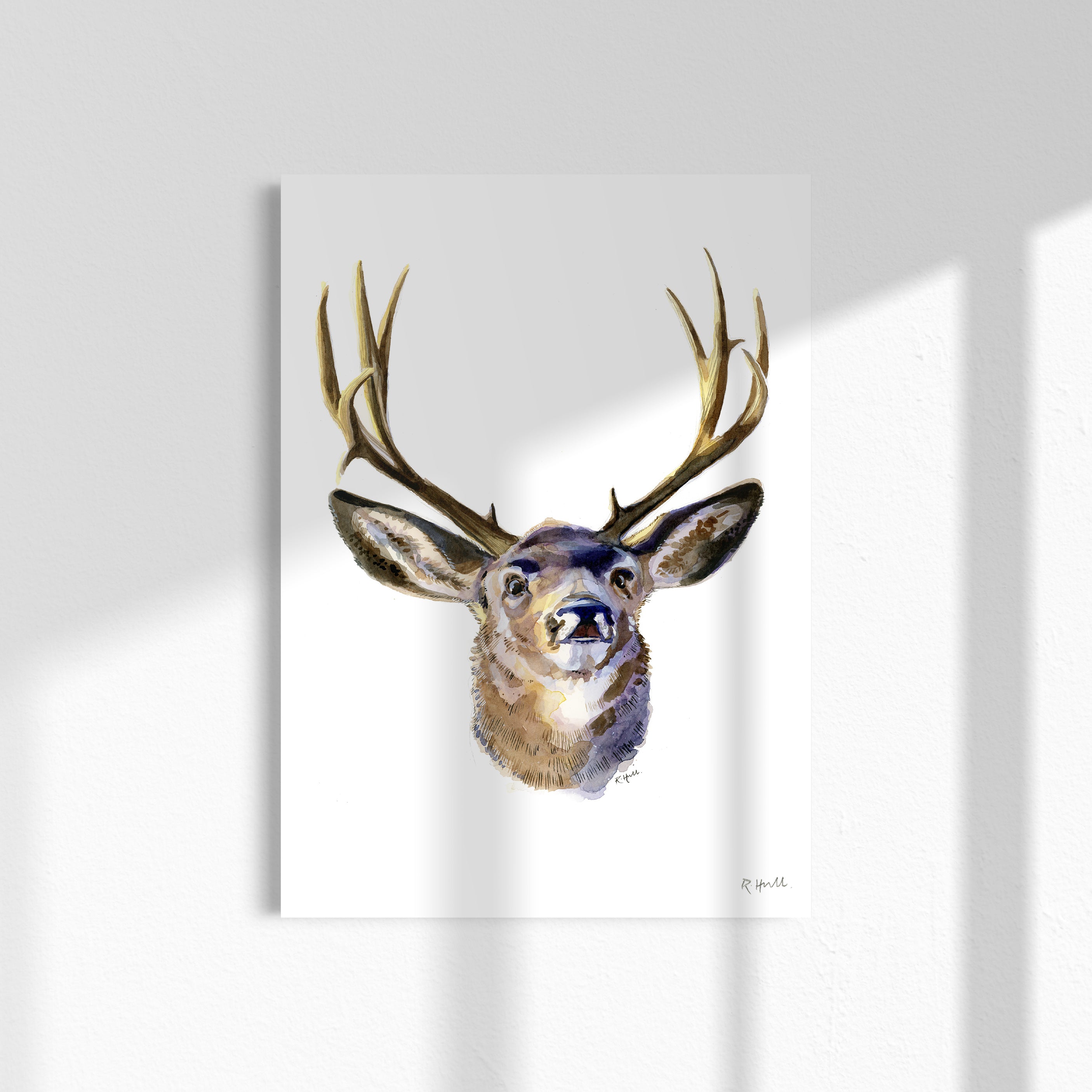 Stag A4/Letter Watercolour Print