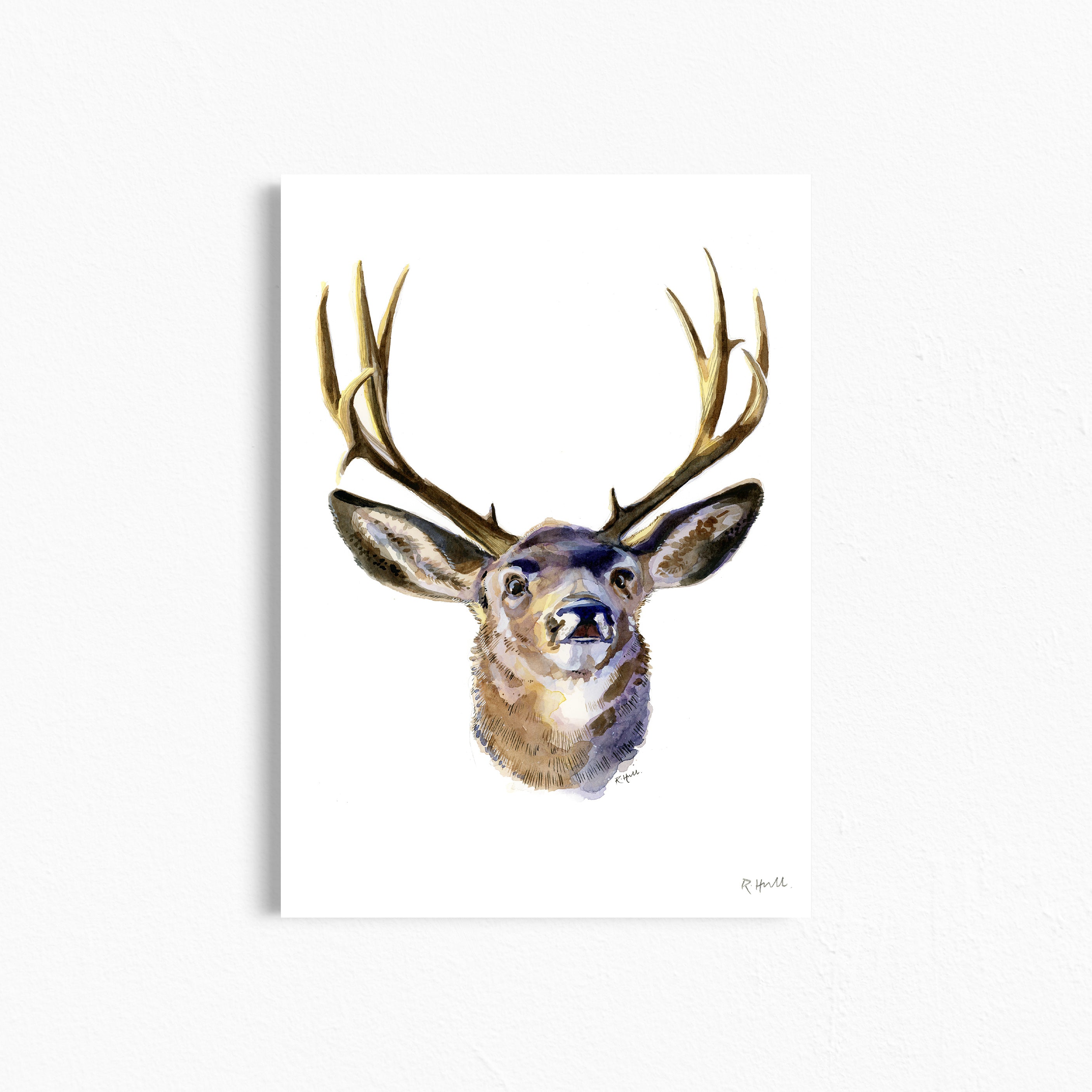 Stag A4/Letter Watercolour Print