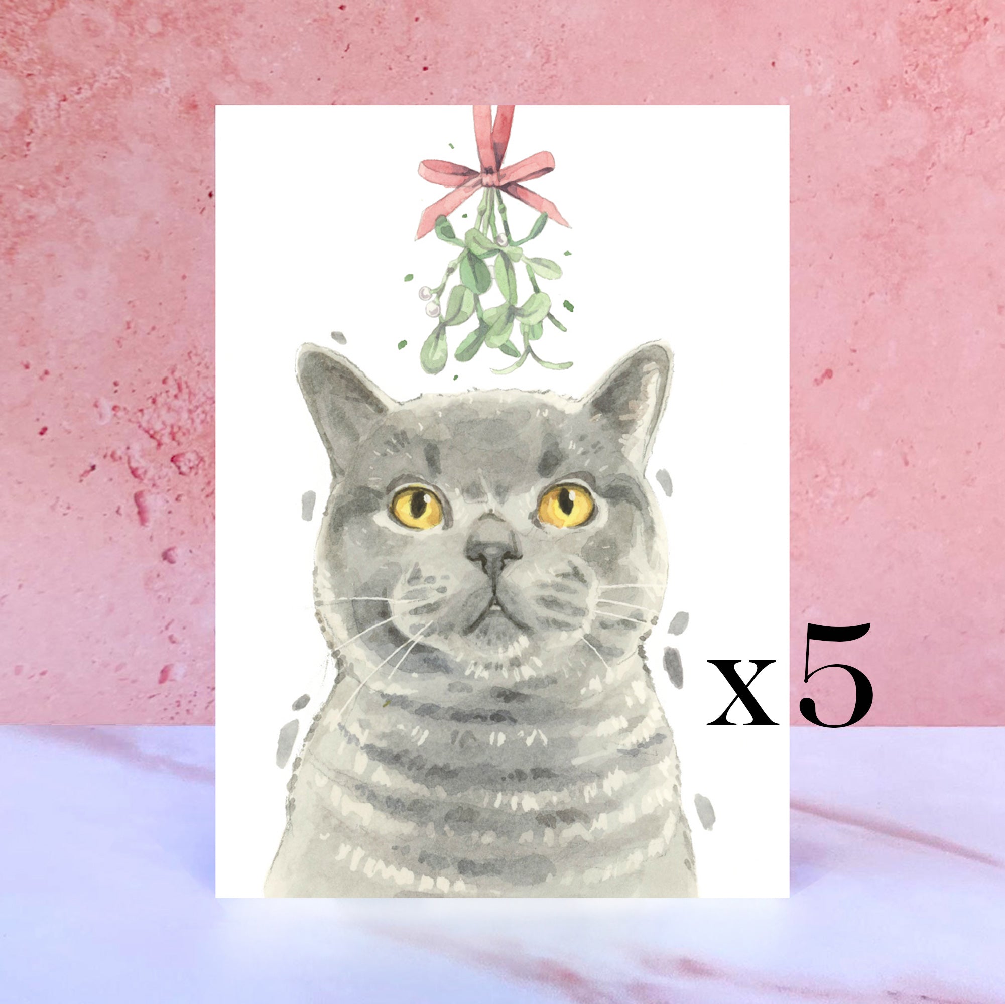 Pack of 5 British Shorthair Cat Christmas Cards