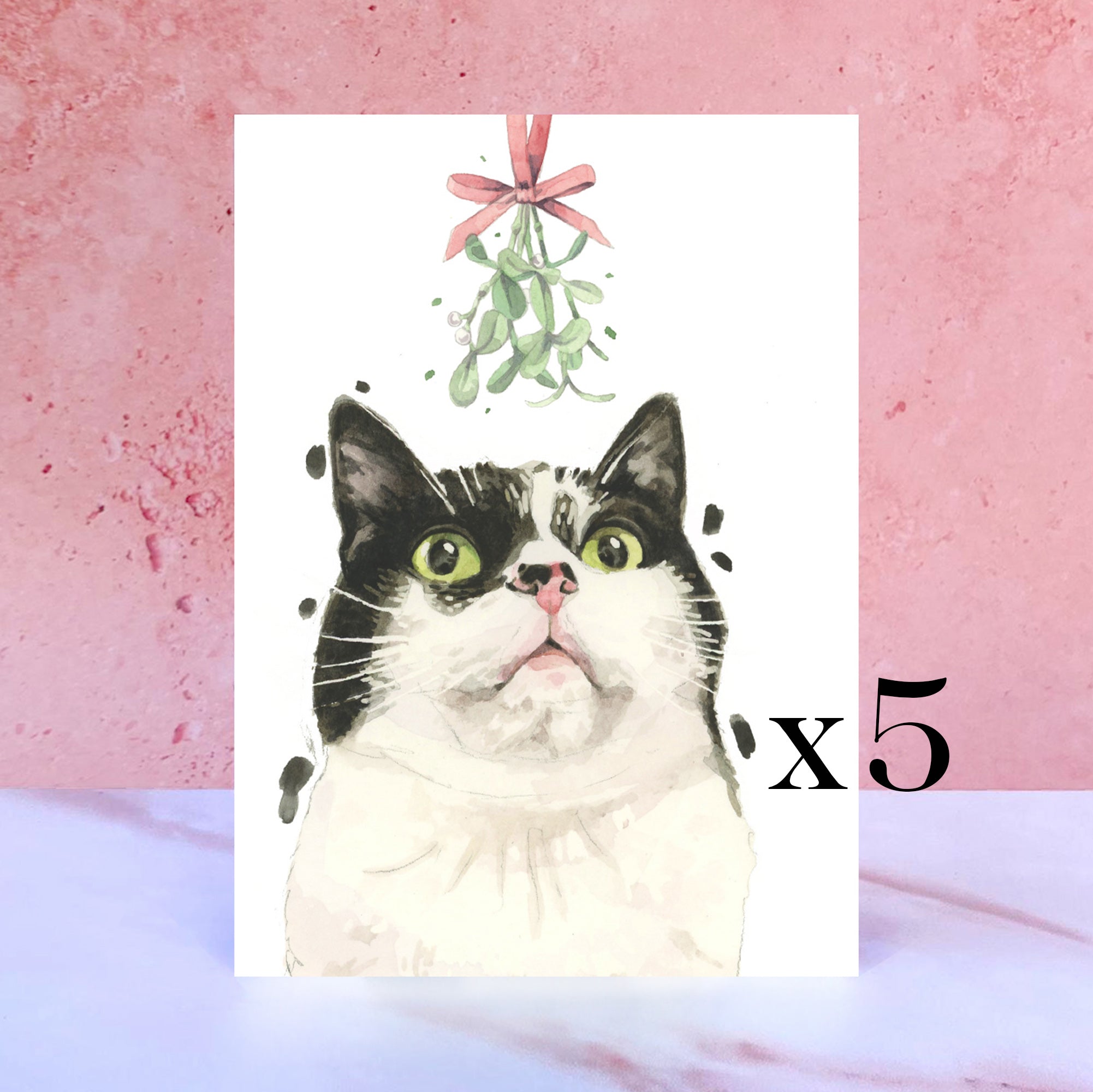 Pack of 5 Black and White Cat Christmas Cards