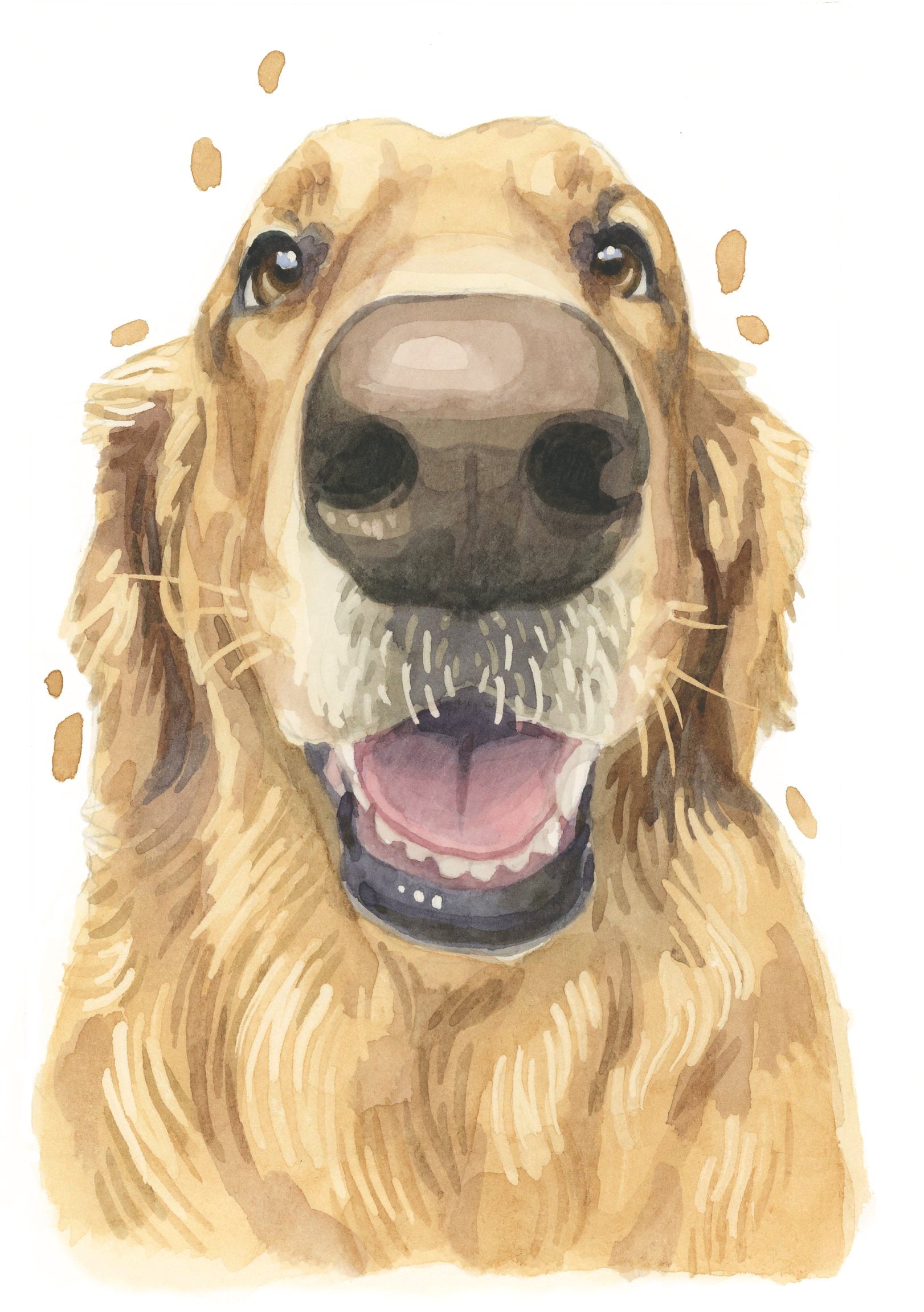 Pack of 5 Golden Retriever All Occasion Cards, Cute Goldie Boop Birthday Greeting Card