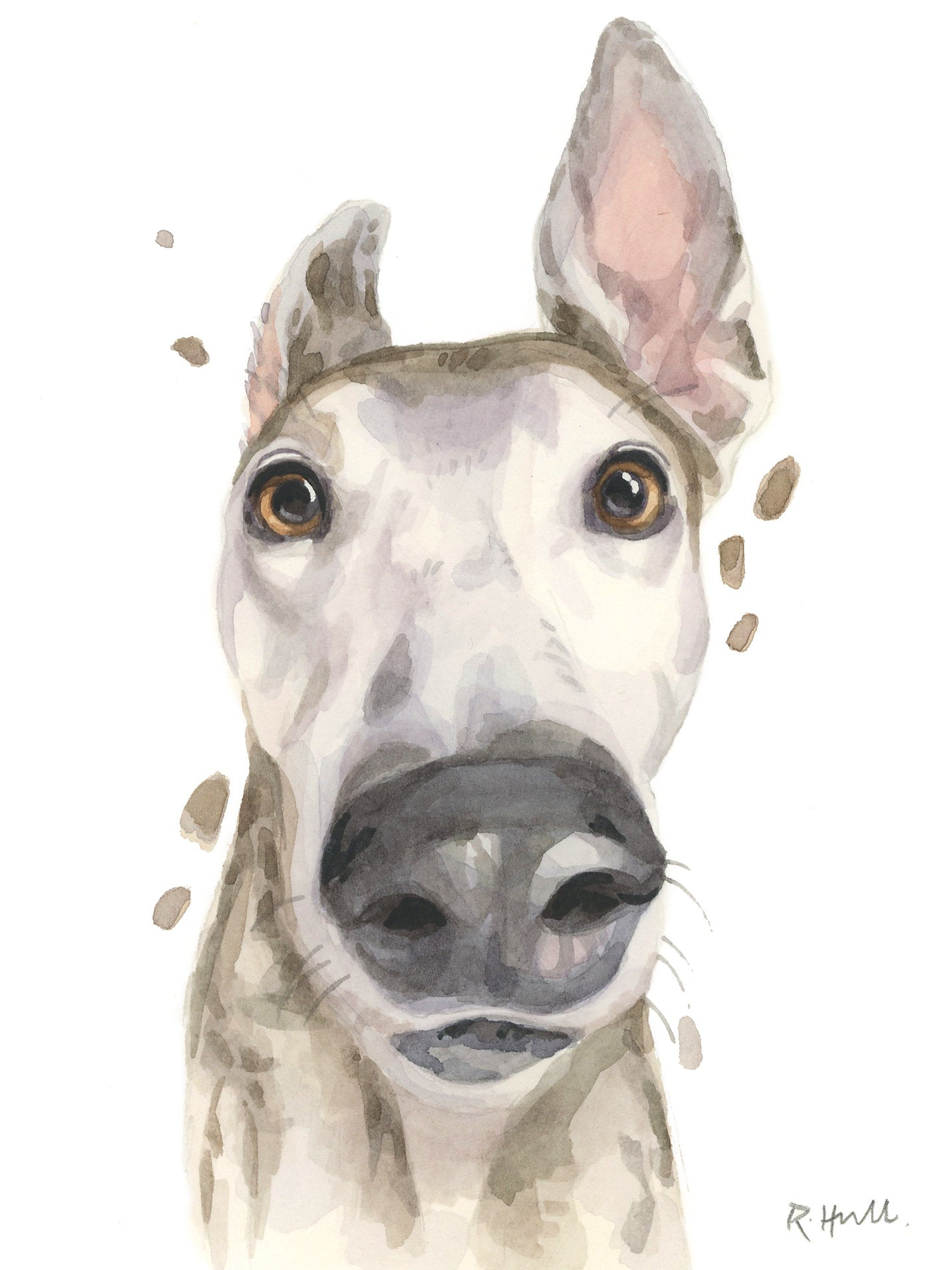 Pack of 5 Greyhound All Occasion Cards, Funny Lurcher Boop Birthday Greeting Card