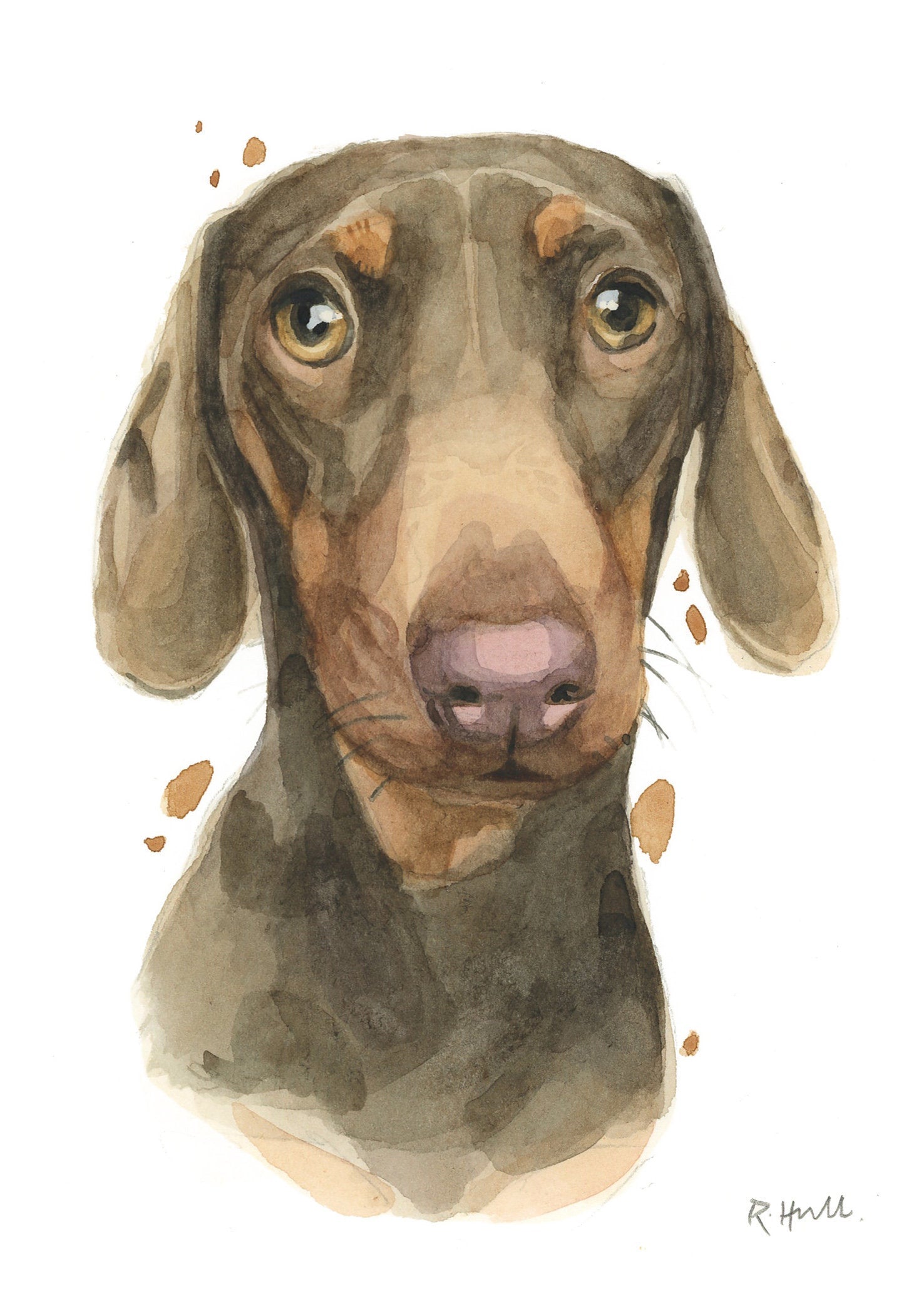 Dachshund All Occasion Card, Cute Sausage Dog Doxie Greeting Cards