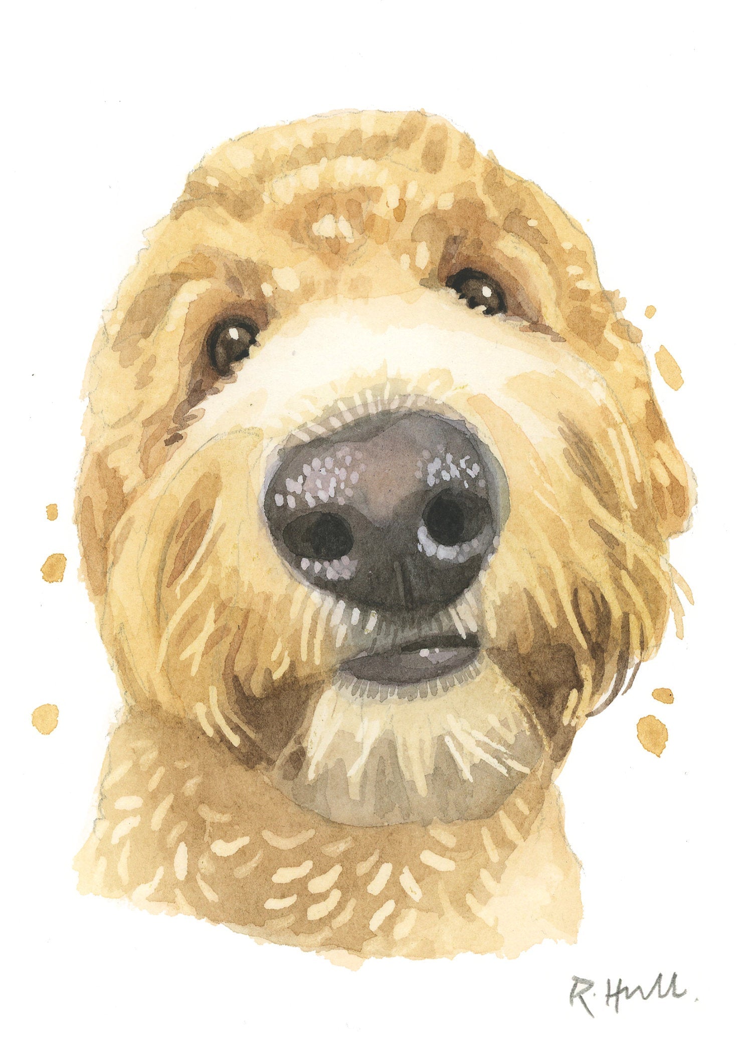 Pack of 5 Golden Doodle All Occasion Cards, Cute Labradoodle Goldendoodle Greeting Card