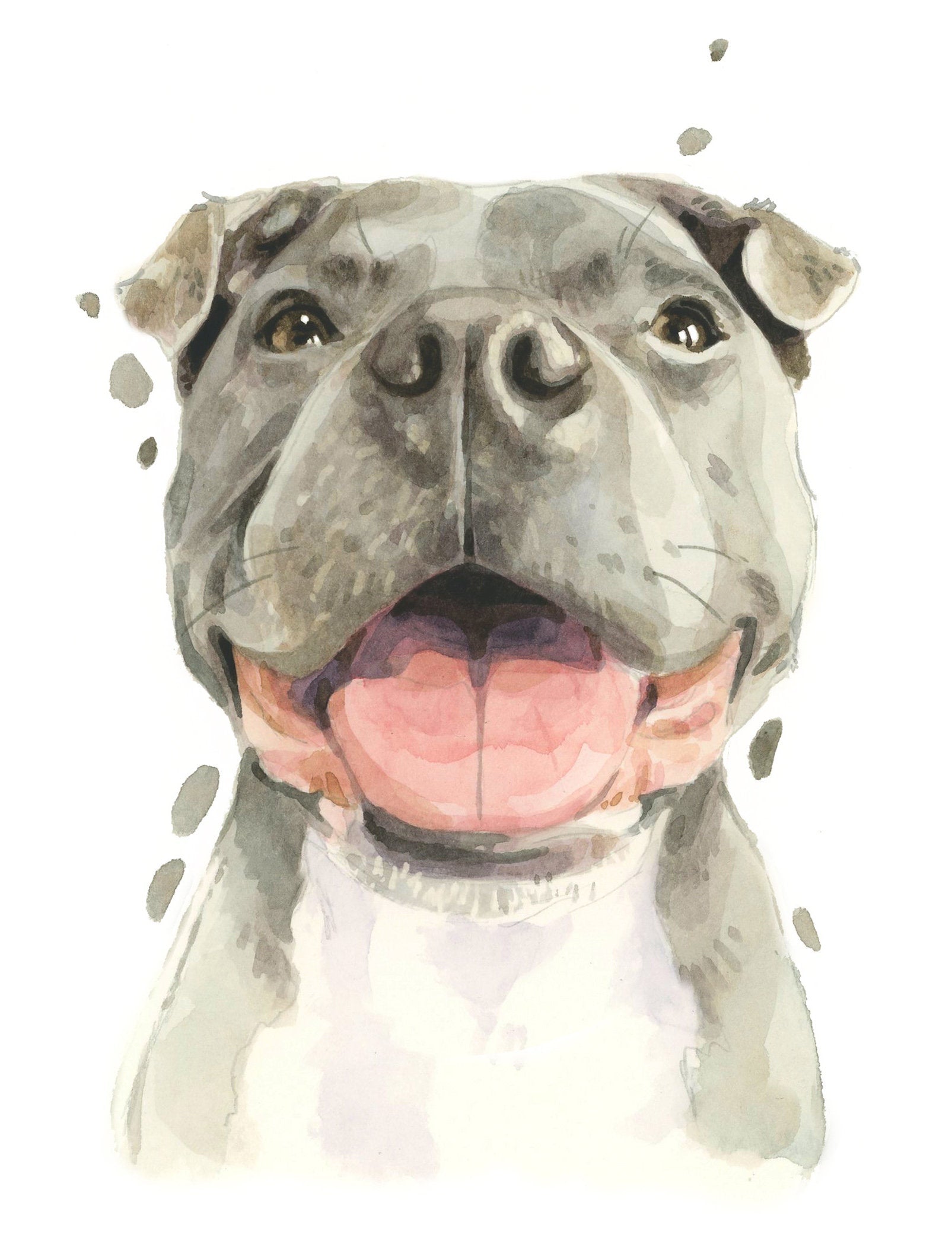 Pack of 5 Staffordshire Bull Terrier All Occasion Cards, Funny Staffy Staffie Birthday Greeting Card