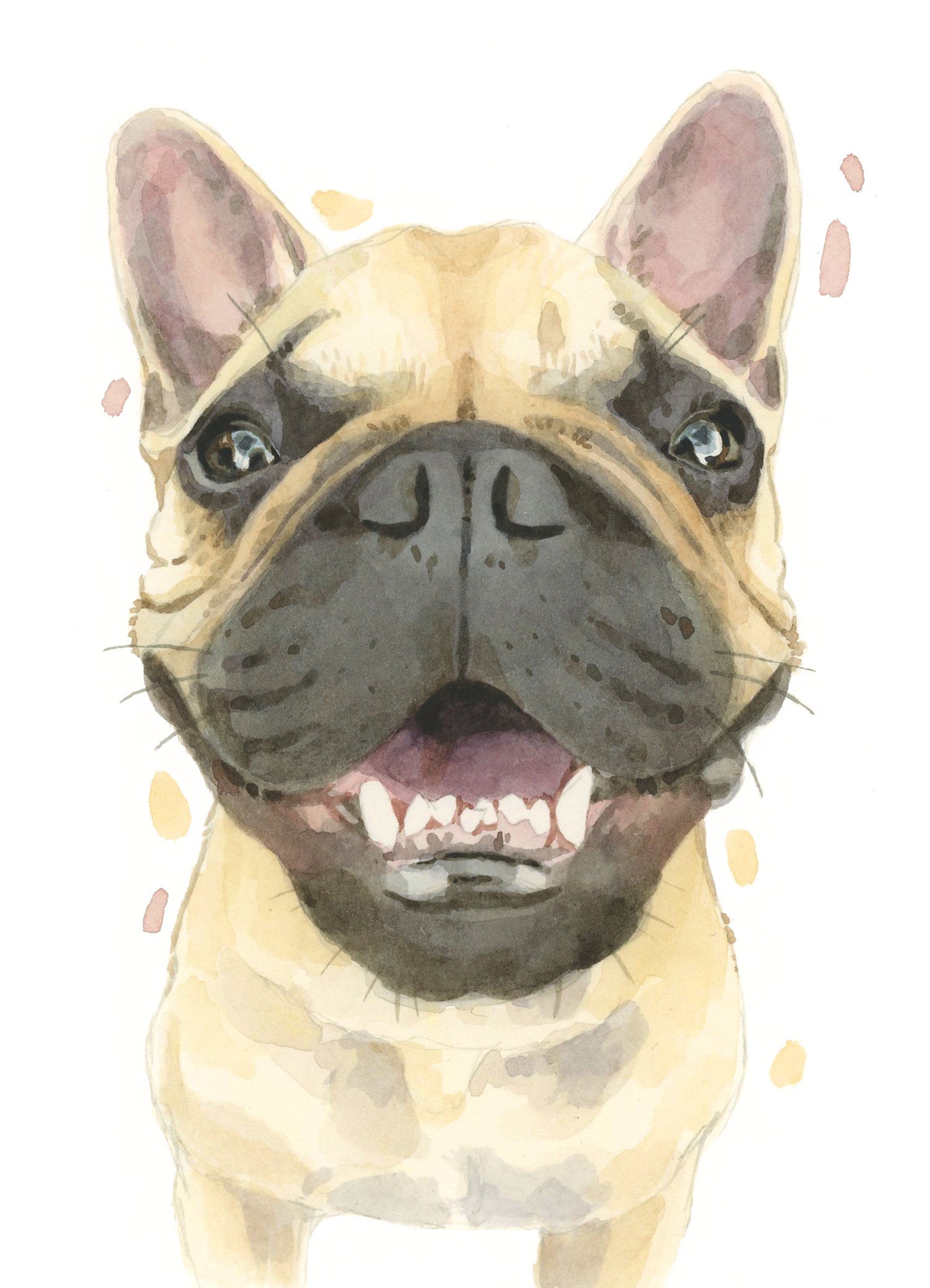 Pack of 5 Frenchie All Occasion Cards, Funny French Bulldog Boop Birthday Greeting Card