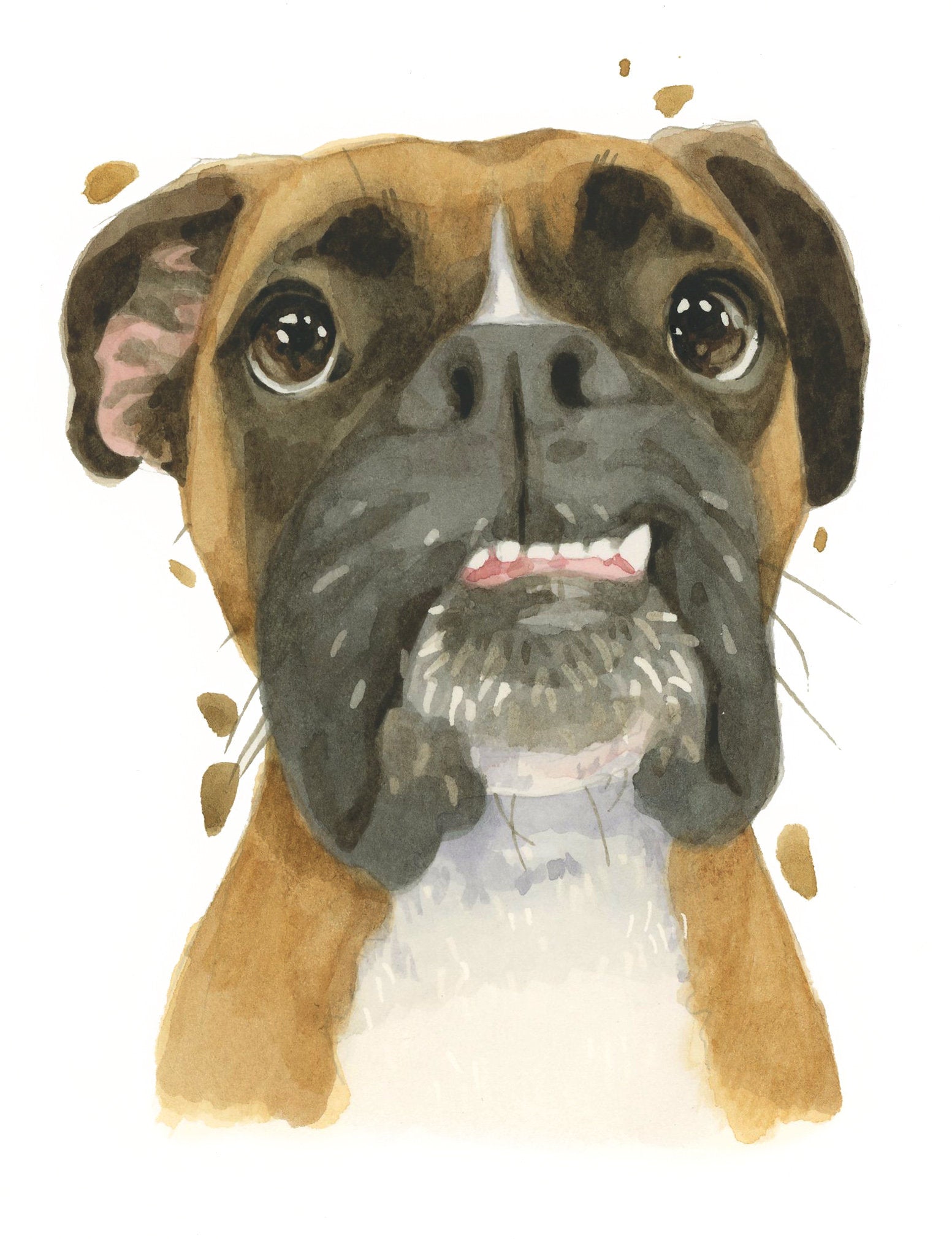 Boxer Dog All Occasion Card, Funny German Boxer Birthday Greeting Card