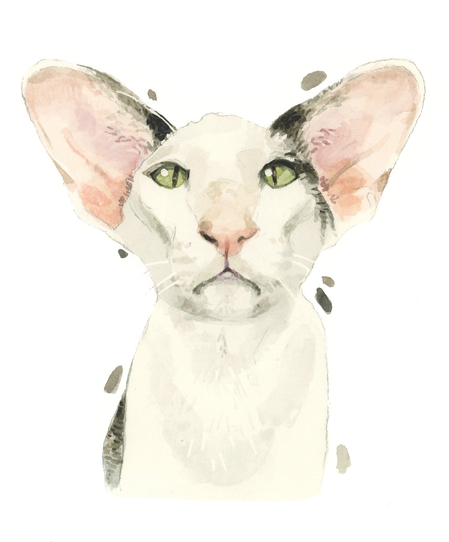 Oriental Shorthair Cat All Occasion Card, Funny Kitty Birthday Greeting Cards