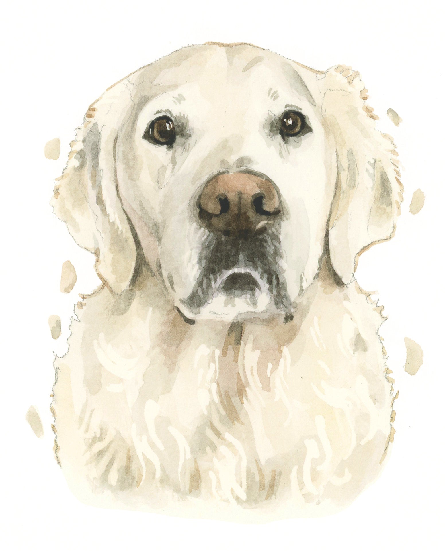 English Cream Golden Retriever All Occasion Card, Cute Dog Birthday Greeting Cards