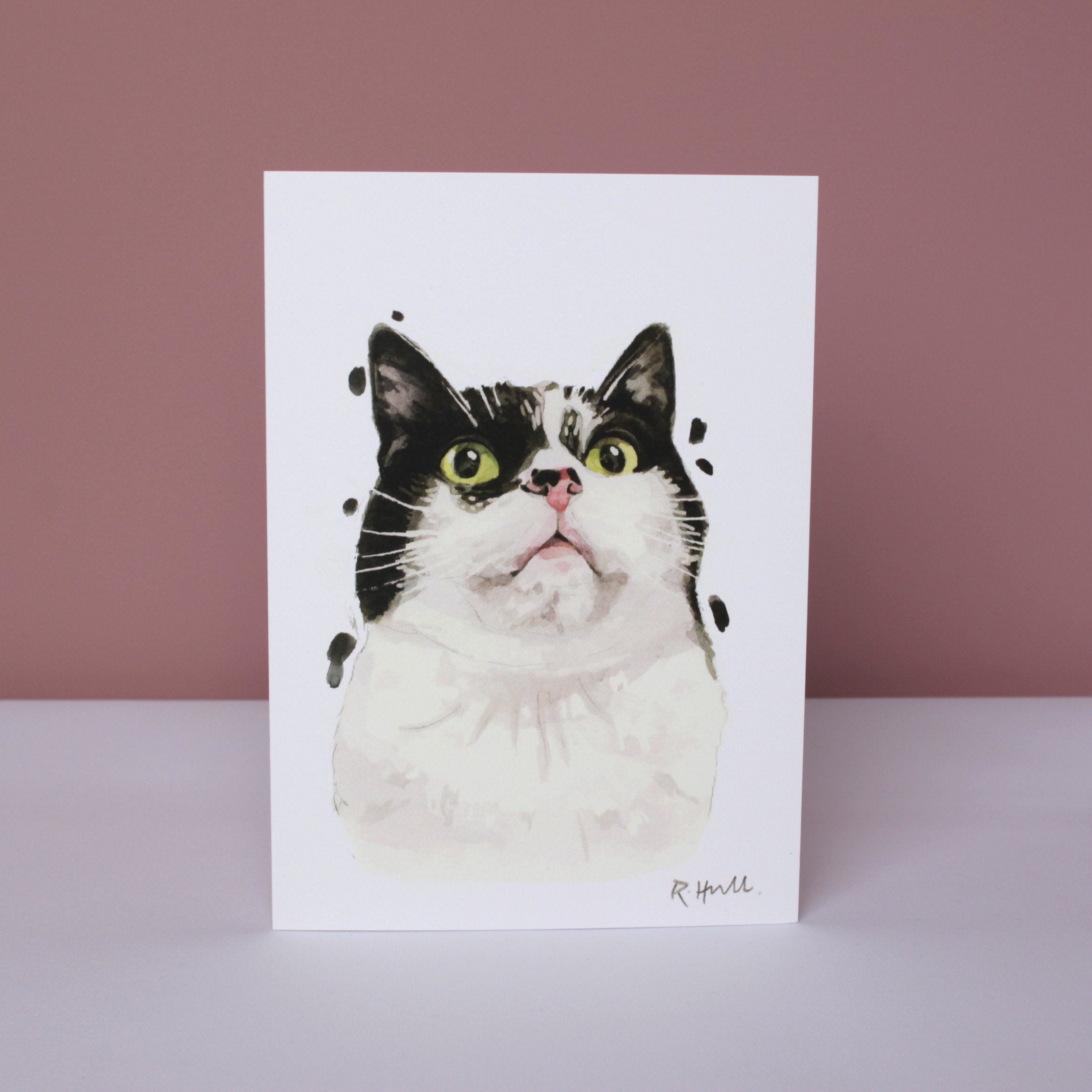 Black and White Cat All Occasion Card, Funny Kitten Birthday Greeting Cards