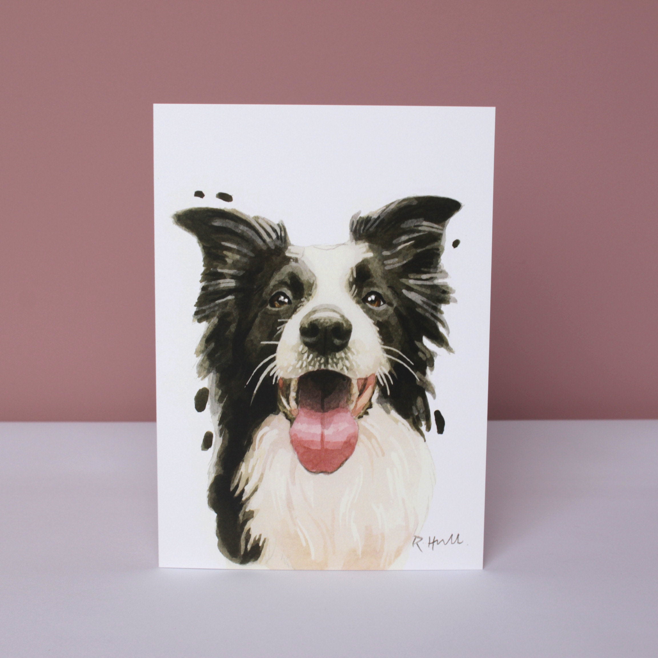 Border Collie All Occasion Card, Cute Sheepdog Birthday Greeting Cards