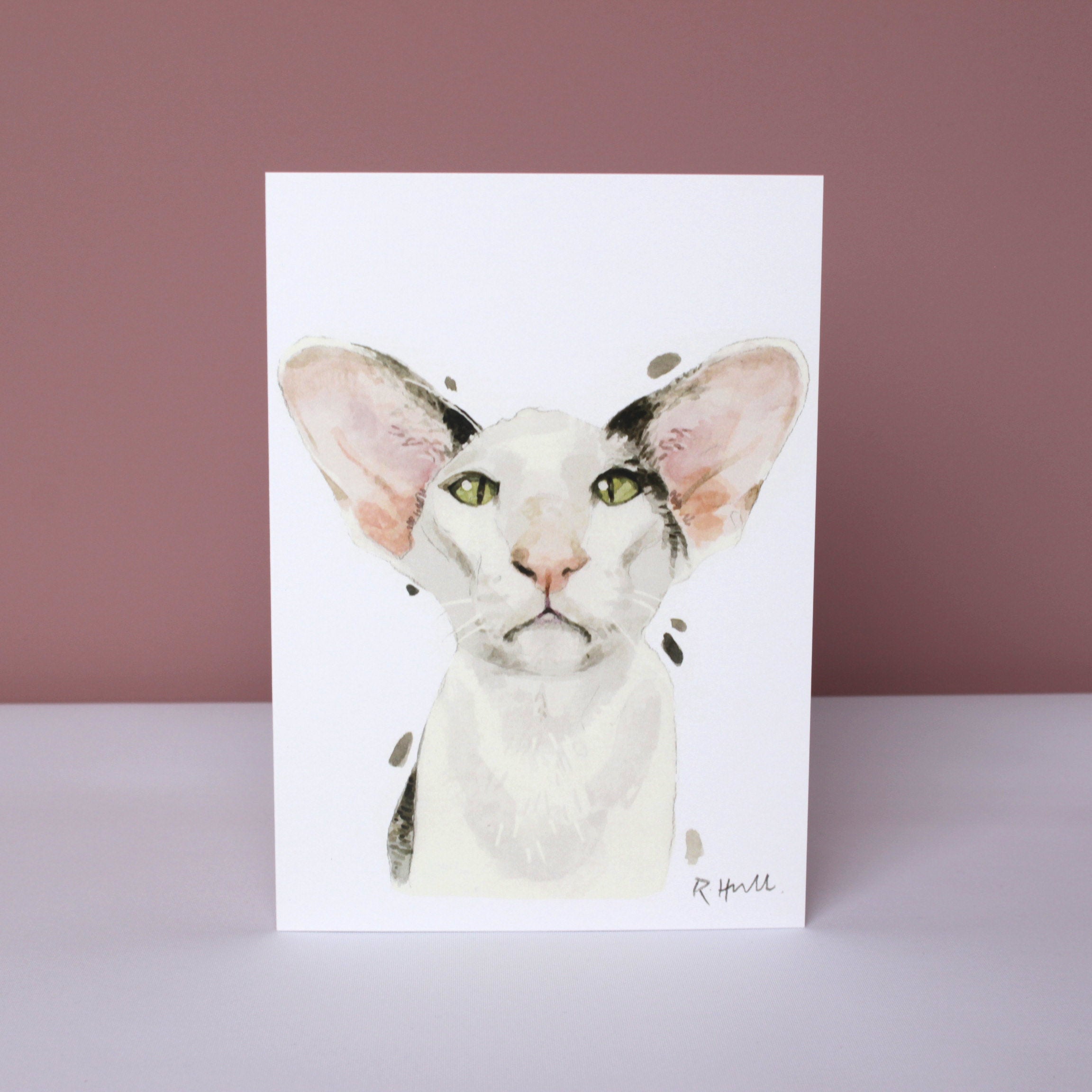 Oriental Shorthair Cat All Occasion Card, Funny Kitty Birthday Greeting Cards