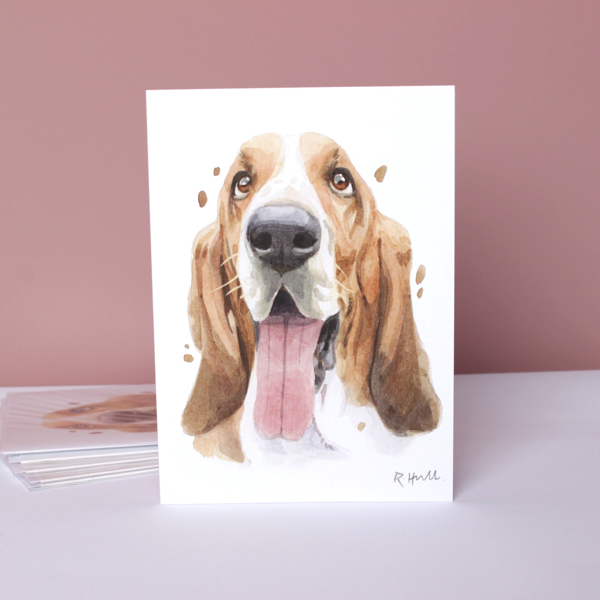 Pack of 5 Basset Hound All Occasion Cards, Cute Bassett Birthday Greeting Card