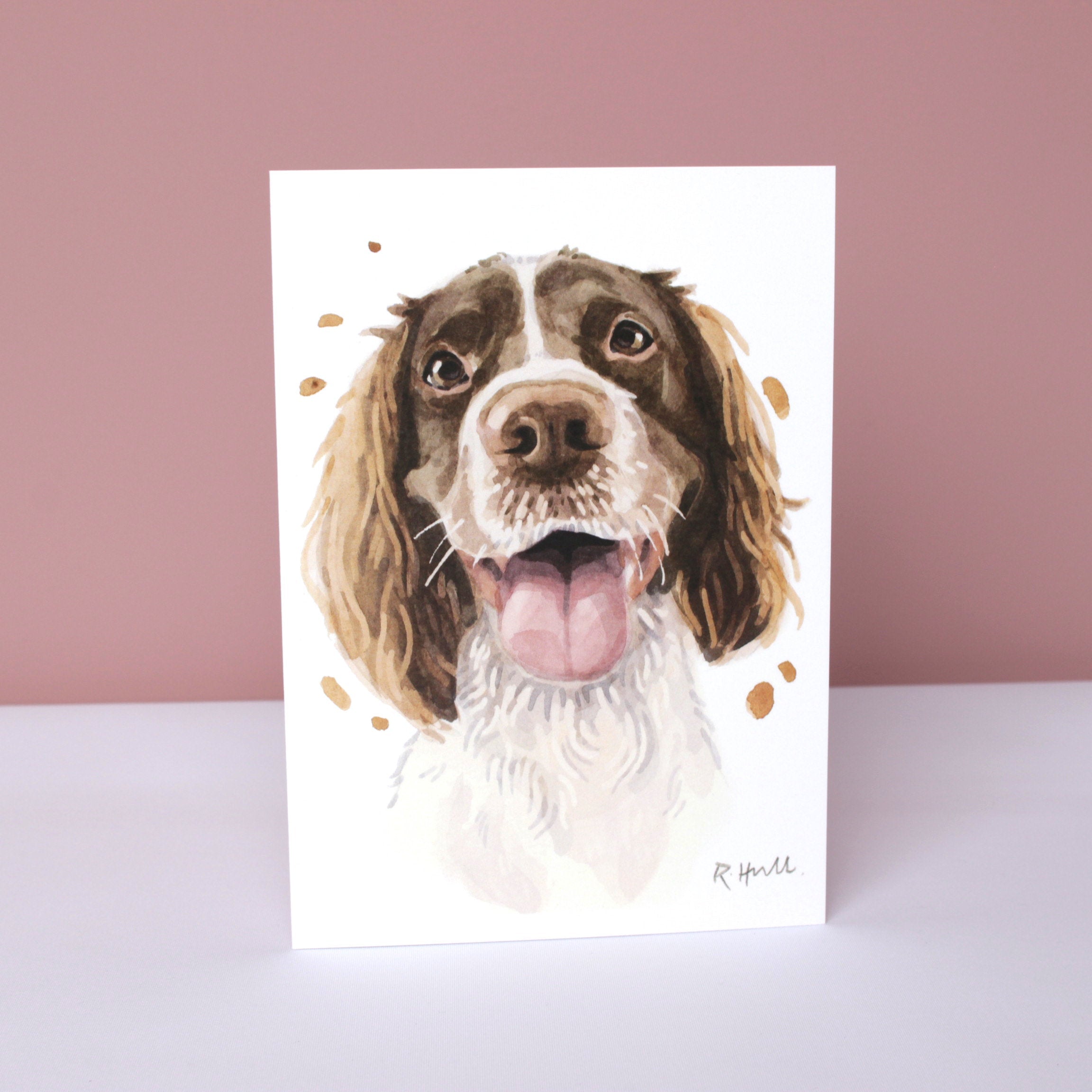 Spaniel All Occasion Card, Funny Dog Birthday Greeting Cards