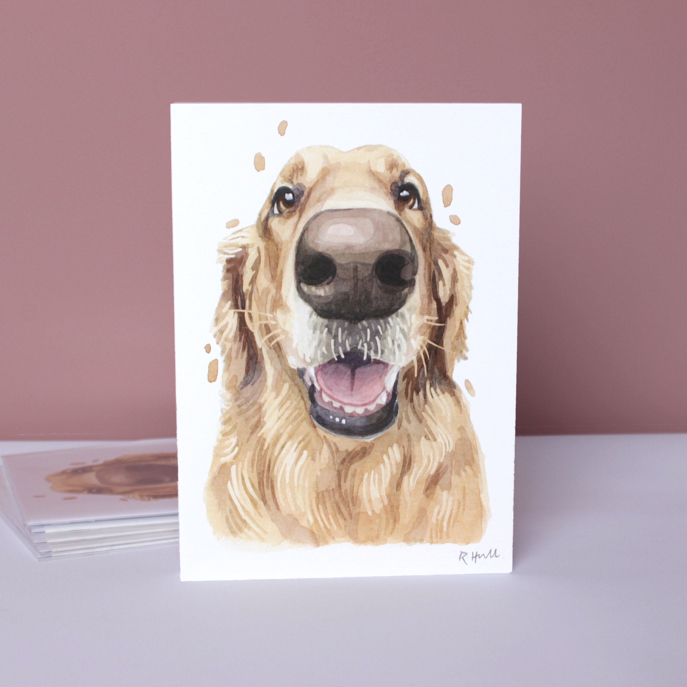 Pack of 5 Golden Retriever All Occasion Cards, Cute Goldie Boop Birthday Greeting Card