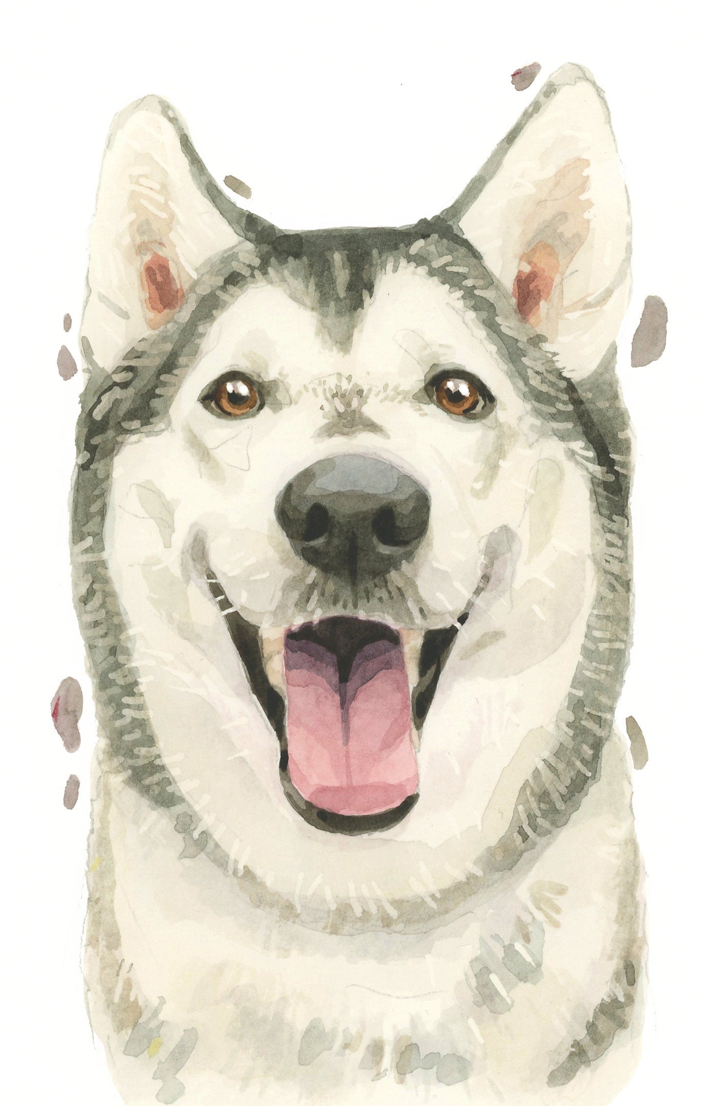 Siberian Husky All Occasion Card, Cute Dog Birthday Greeting Cards