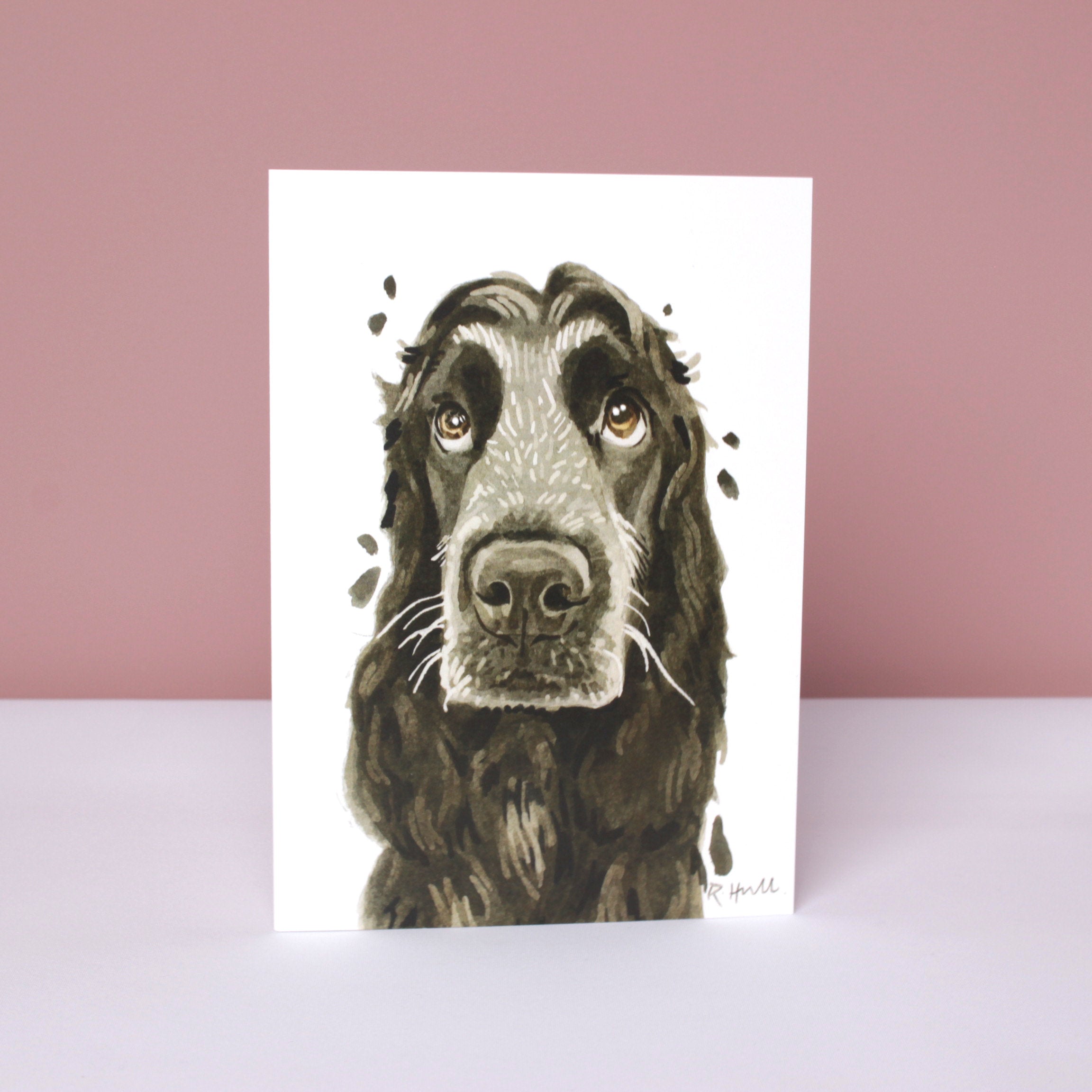Cocker Spaniel All Occasion Card, Cute Dog Birthday Greeting Cards
