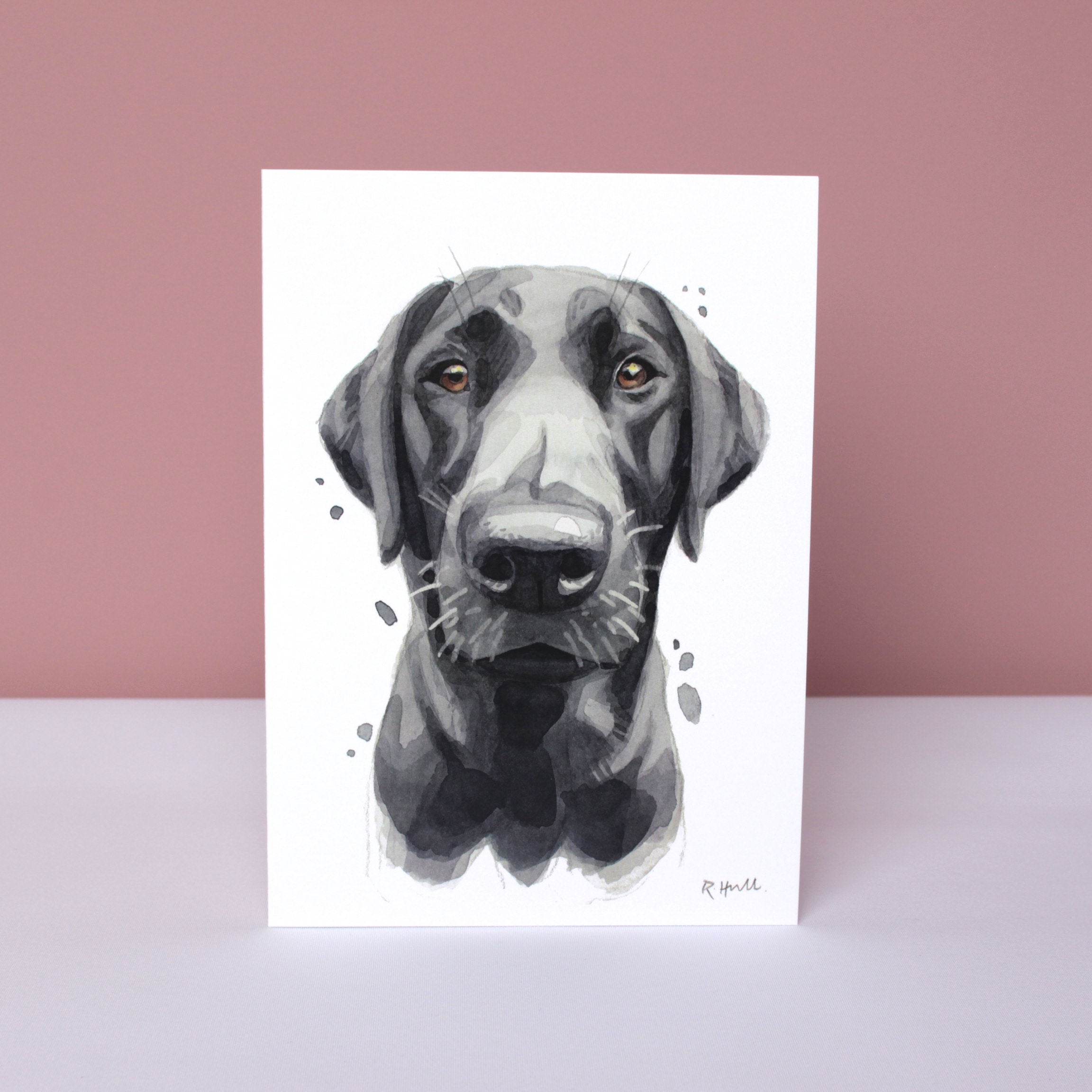 Labrador All Occasion Card, Cute Black Lab Retriever Greeting Cards