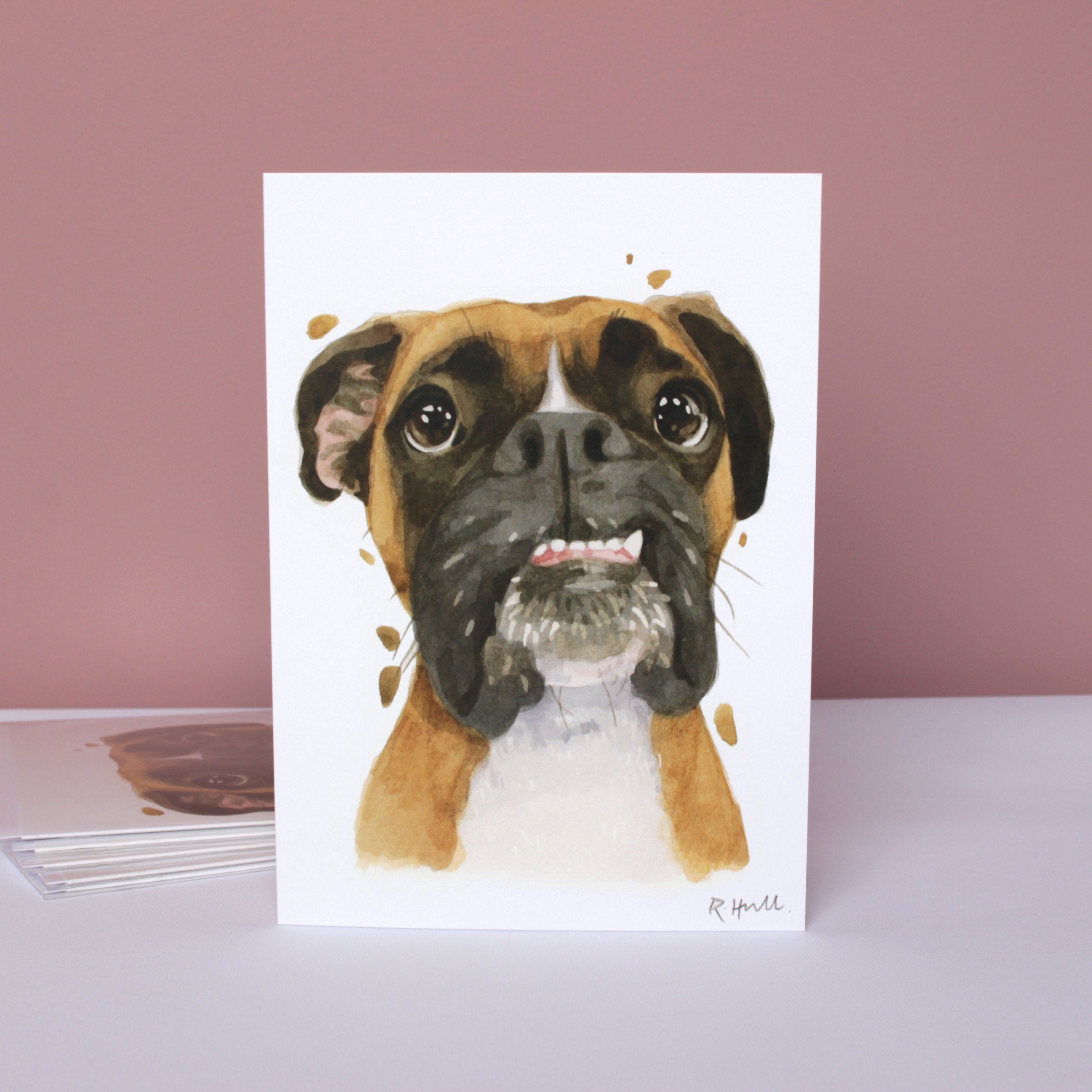 Pack of 5 Boxer Dog All Occasion Cards, Funny German Boxer Birthday Greeting Card