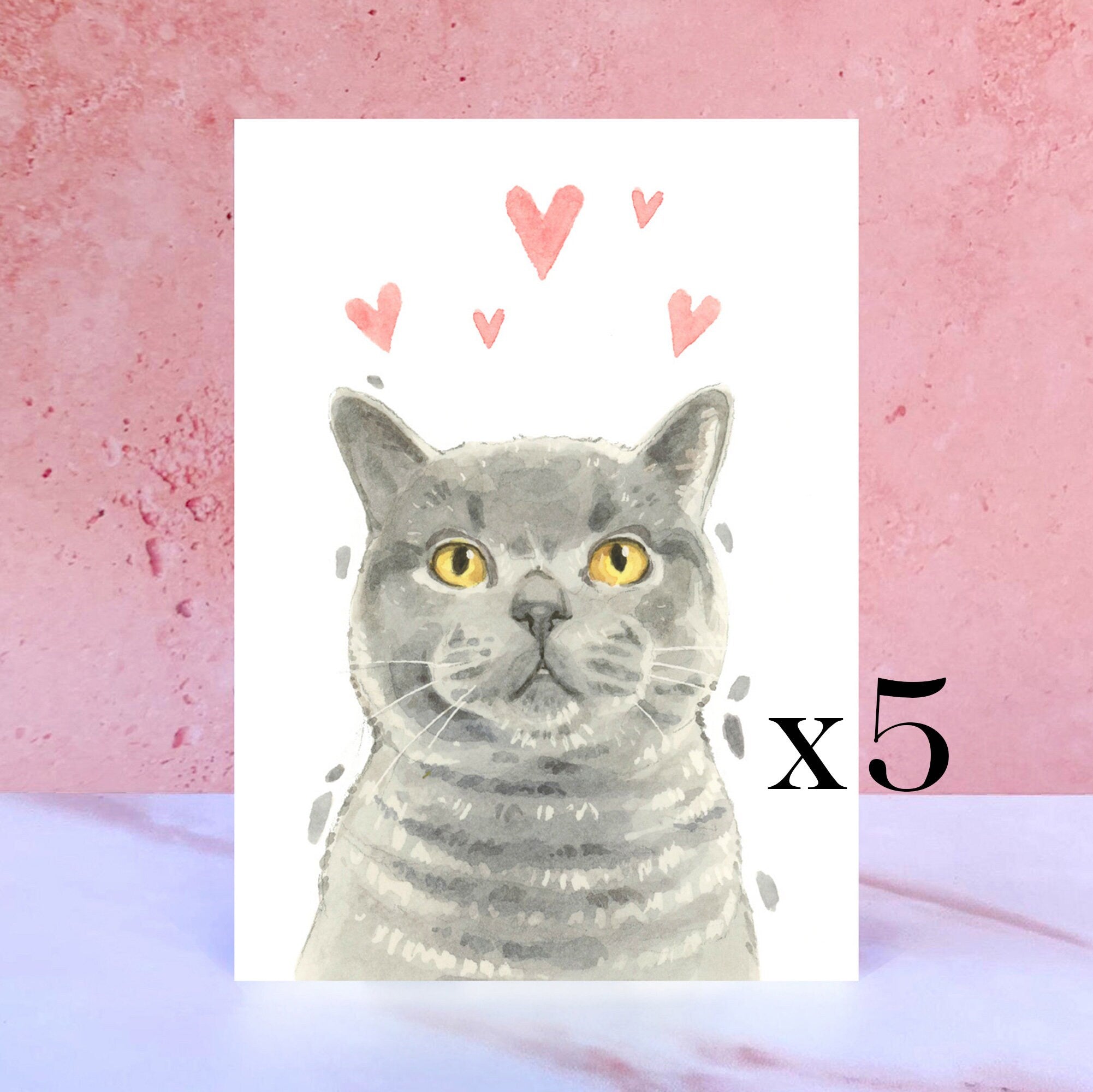 Pack of 5 British Shorthair Cat Licks & Kisses Card for Valentines, Anniversaries and from the Cat