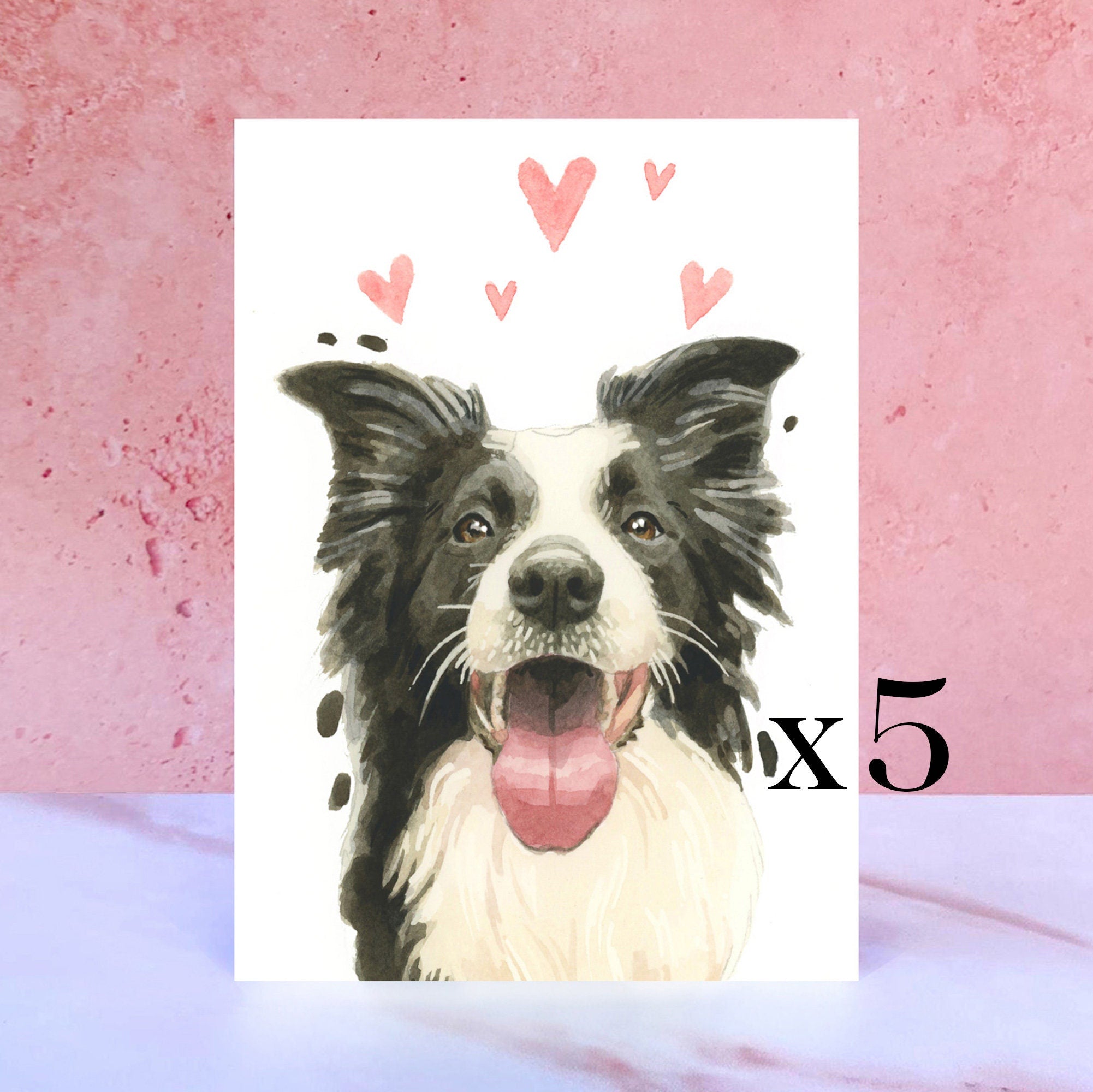 Pack of 5 Border Collie Licks & Kisses Card for Valentines, Anniversaries and from the Dog