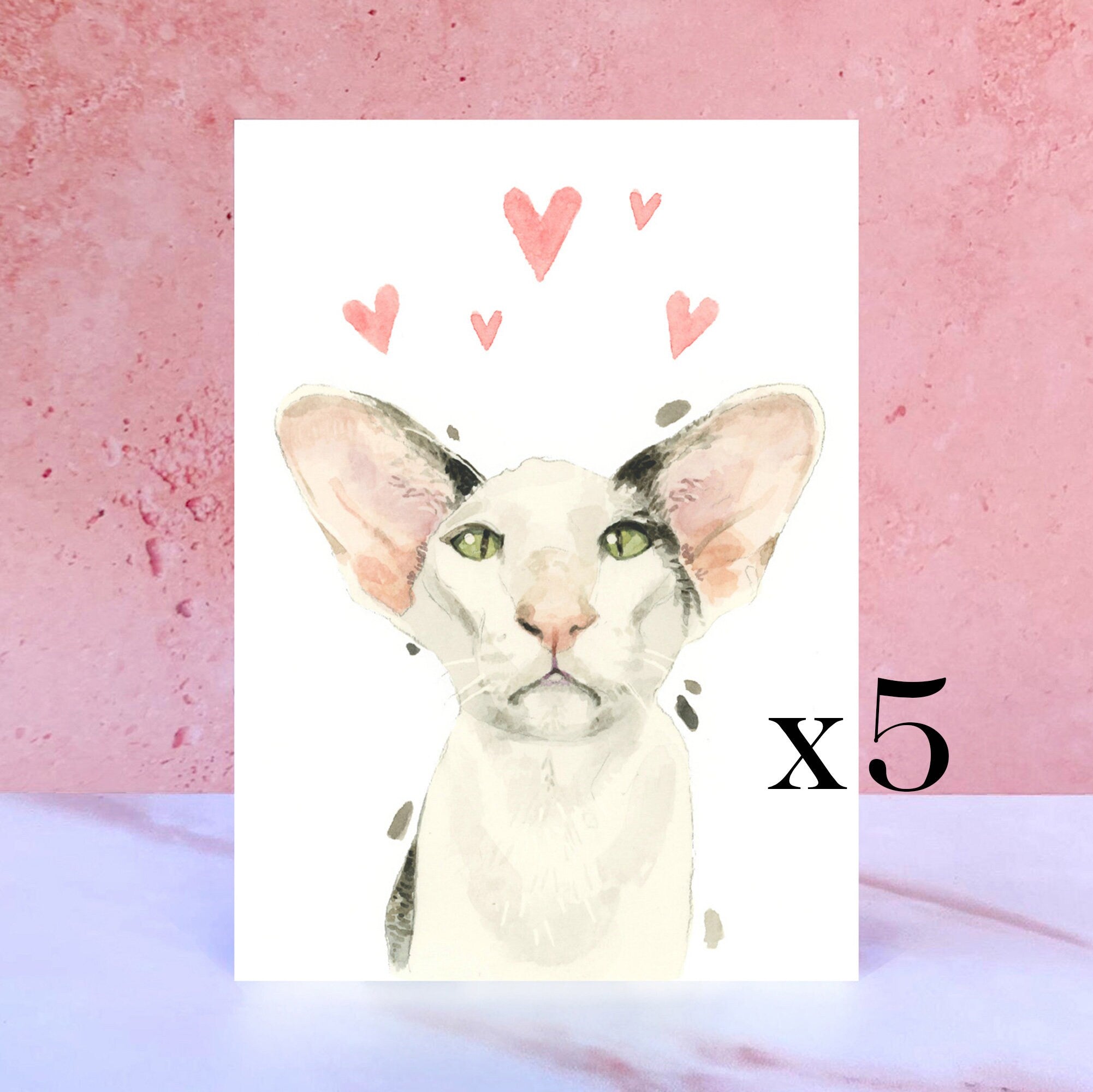 Pack of 5 Oriental Shorthair Licks & Kisses Card for Valentines, Anniversaries and from the Cat