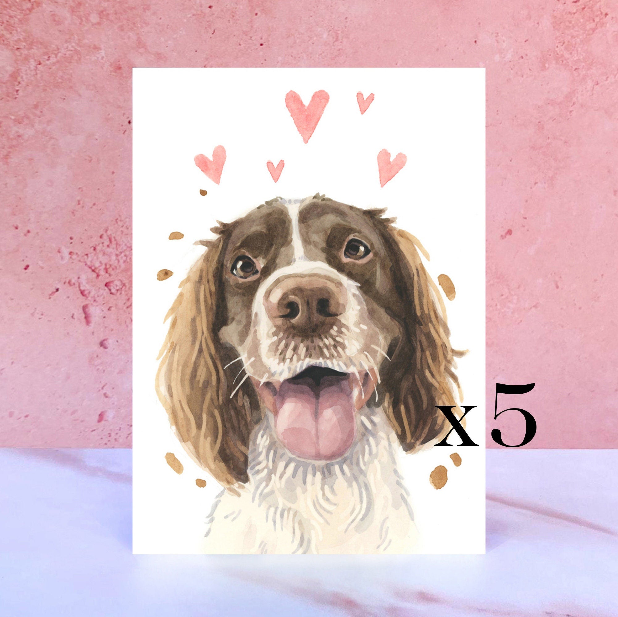 Pack of 5 Springer Spaniel Licks & Kisses Card for Valentines, Anniversaries and from the Dog